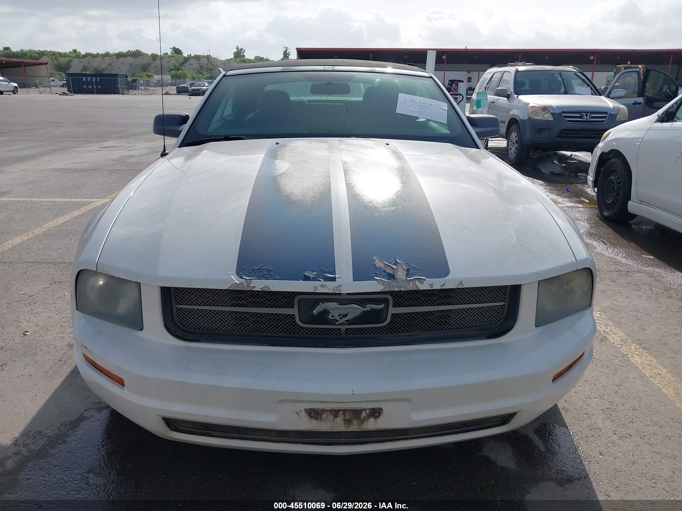 2006 Ford Mustang V6 White vin: 1ZVFT84N165220004