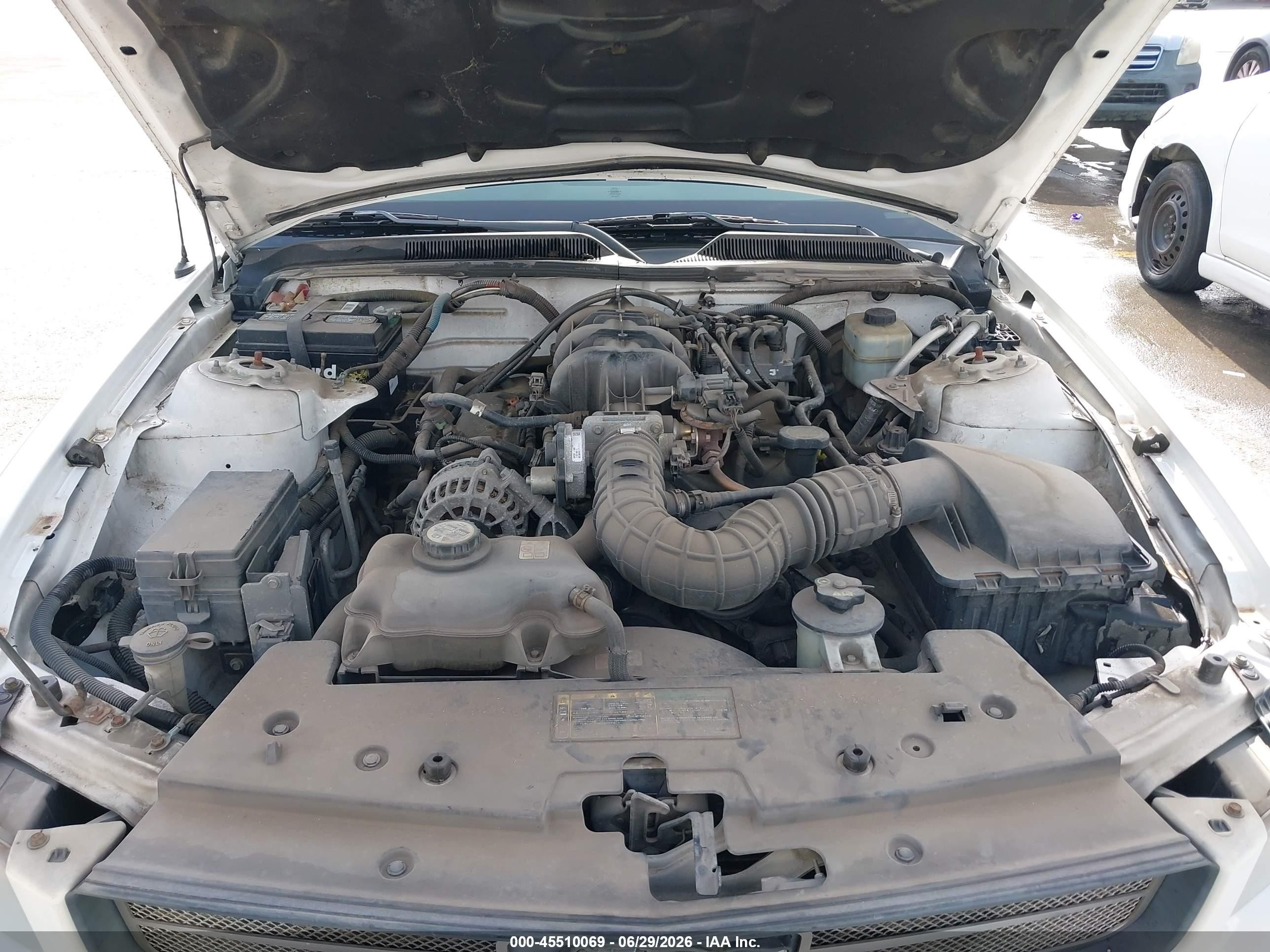 2006 Ford Mustang V6 White vin: 1ZVFT84N165220004