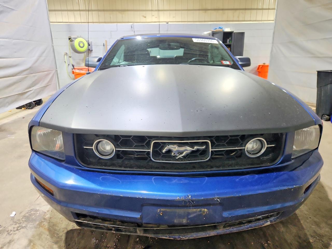 2006 Ford Mustang Blue vin: 1ZVFT84N165235019