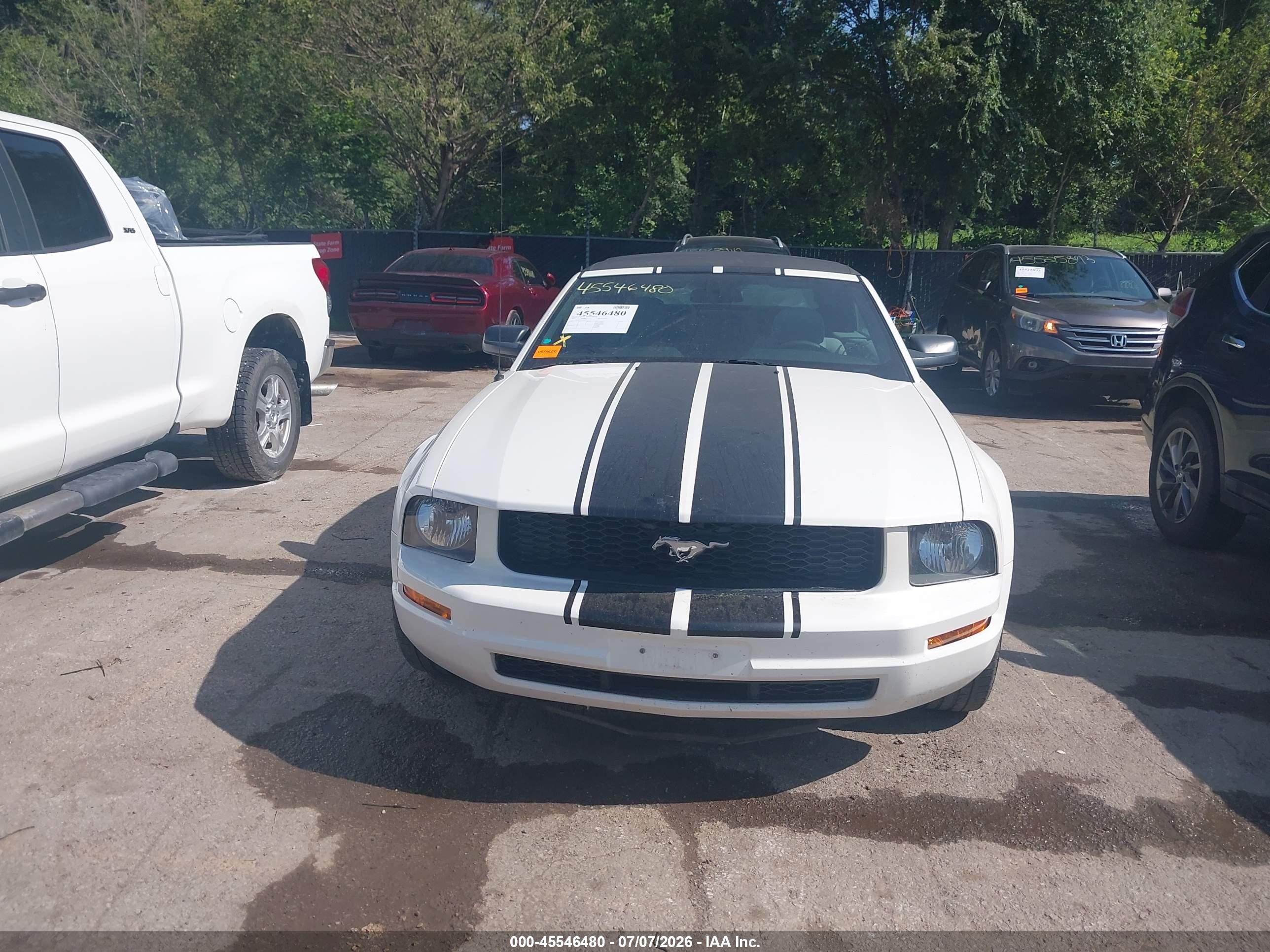 2007 Ford Mustang V6 Deluxe/v6 Premium White vin: 1ZVFT84N175361379