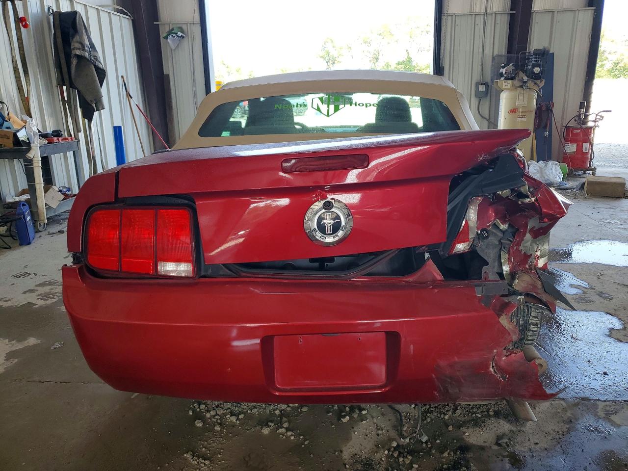2005 Ford Mustang Red vin: 1ZVFT84N255207129