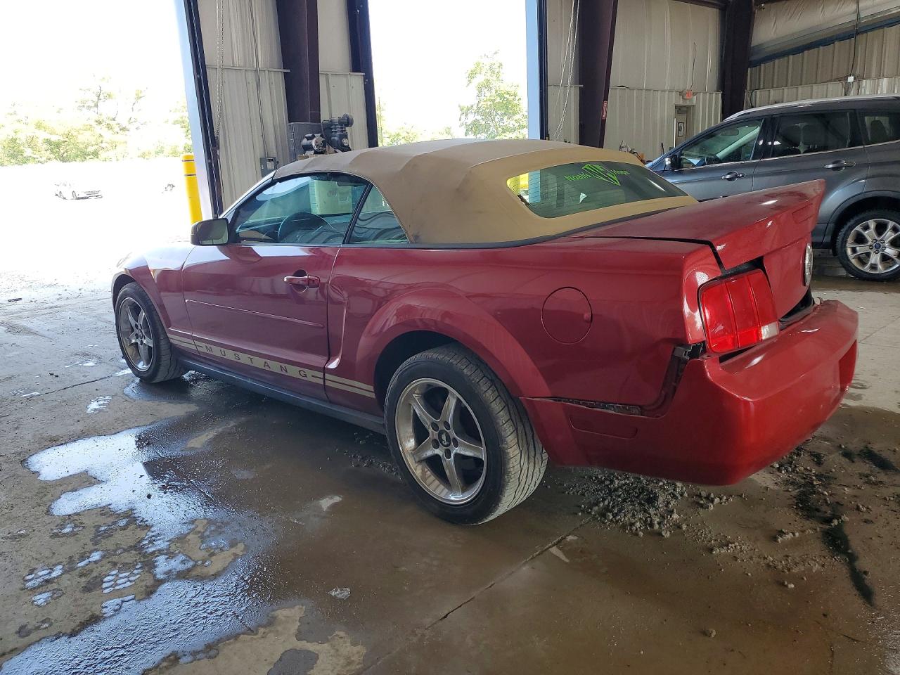 2005 Ford Mustang Red vin: 1ZVFT84N255207129