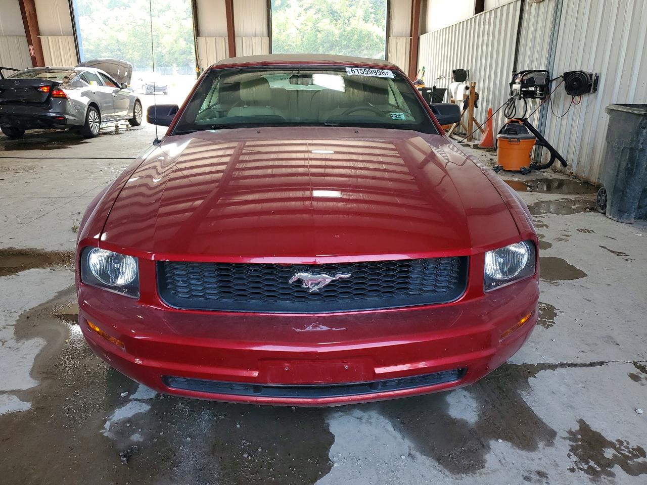 2005 Ford Mustang Red vin: 1ZVFT84N255207129