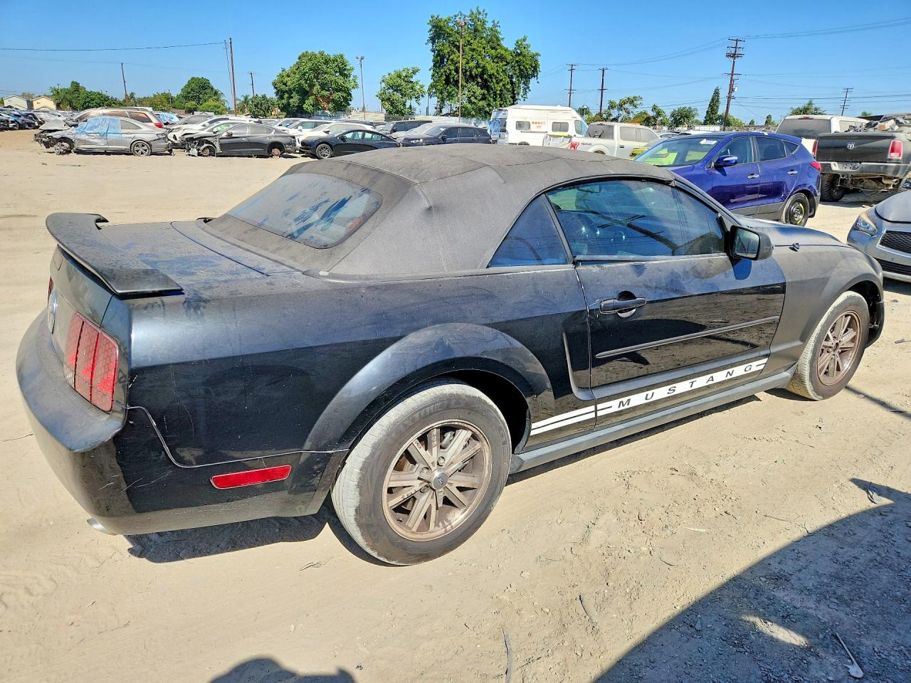 2005 Ford Mustang Black vin: 1ZVFT84N255237246