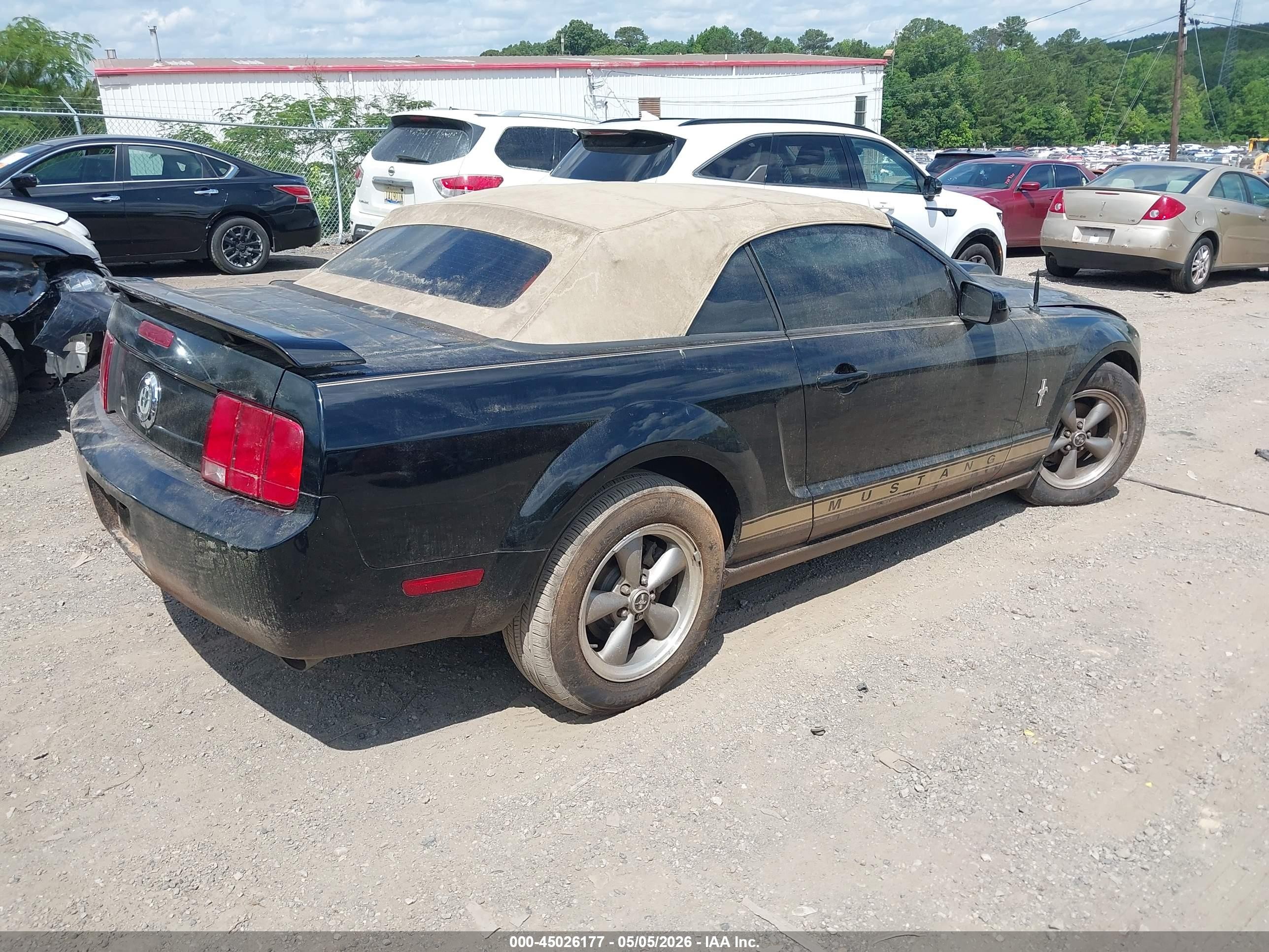 2006 Ford Mustang V6 Black vin: 1ZVFT84N265121756