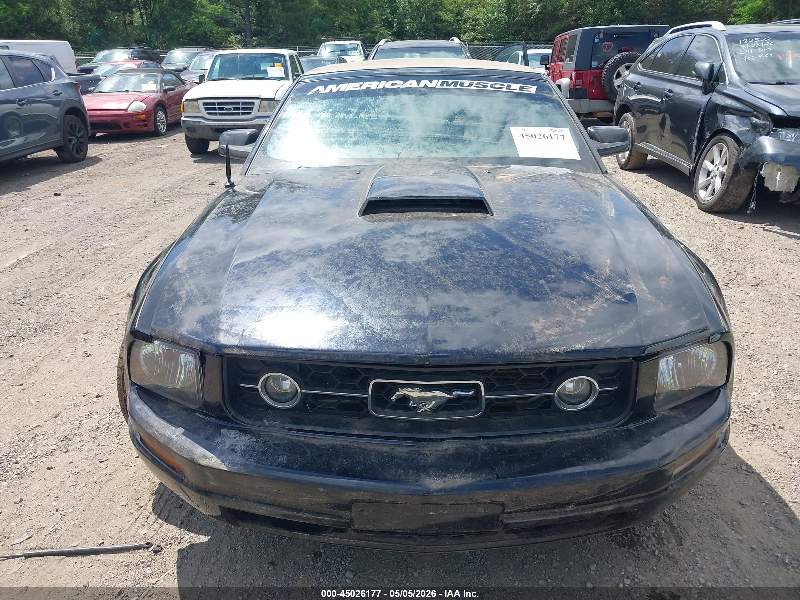 2006 Ford Mustang V6 Black vin: 1ZVFT84N265121756