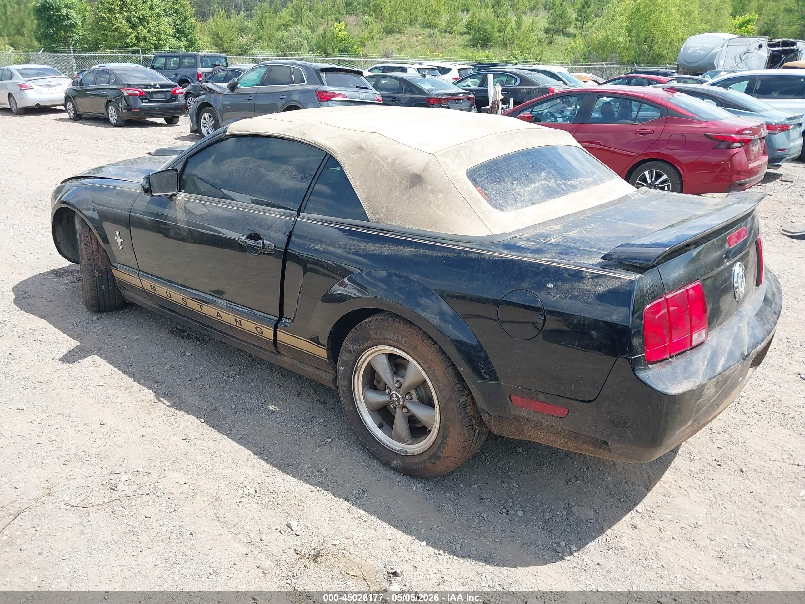 2006 Ford Mustang V6 Black vin: 1ZVFT84N265121756