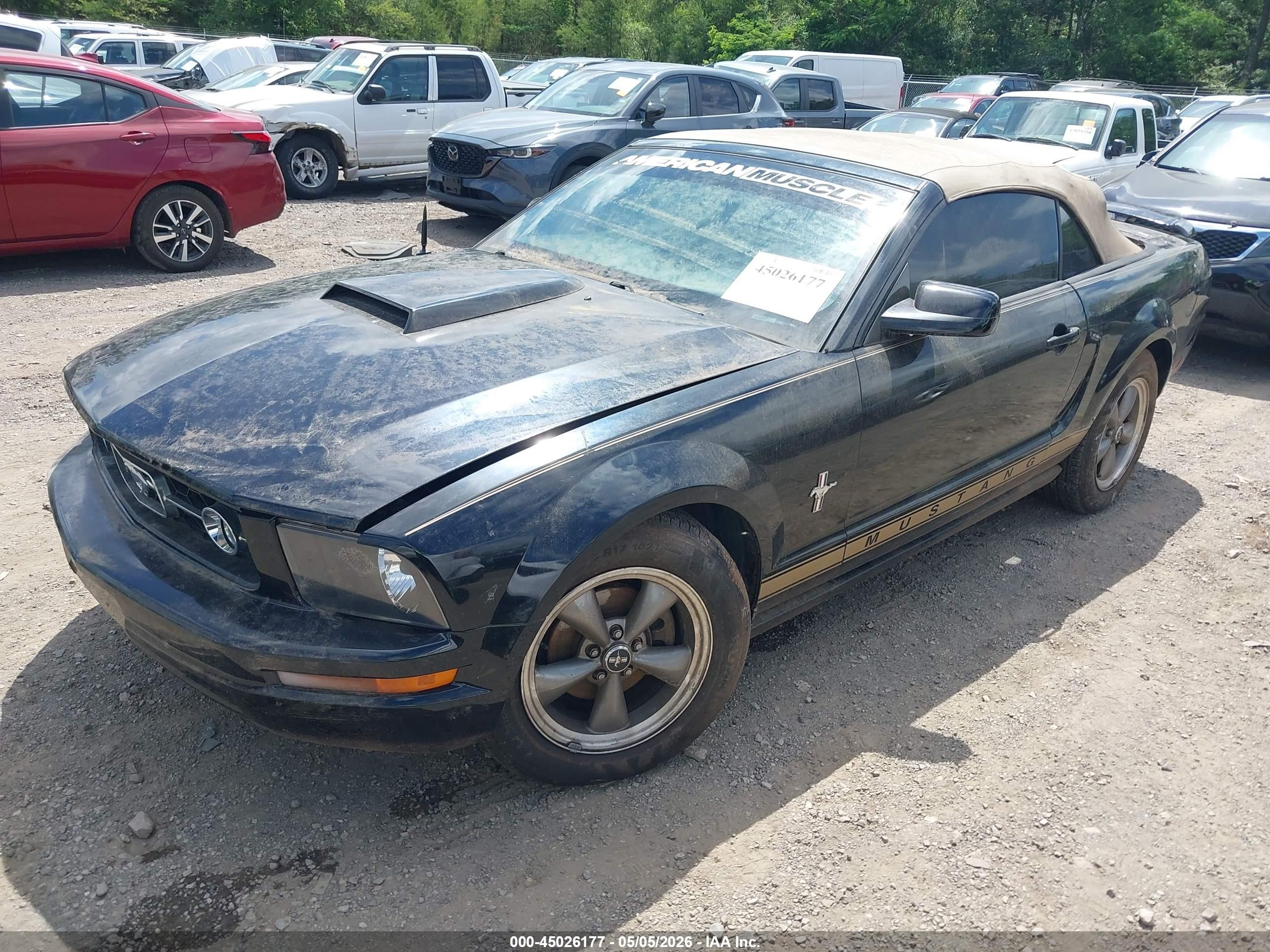 2006 Ford Mustang V6 Black vin: 1ZVFT84N265121756