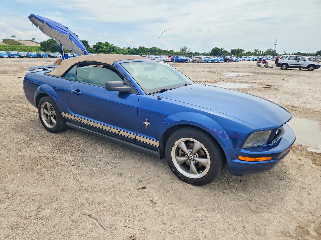 2006 Ford Mustang Blue vin: 1ZVFT84N265247759