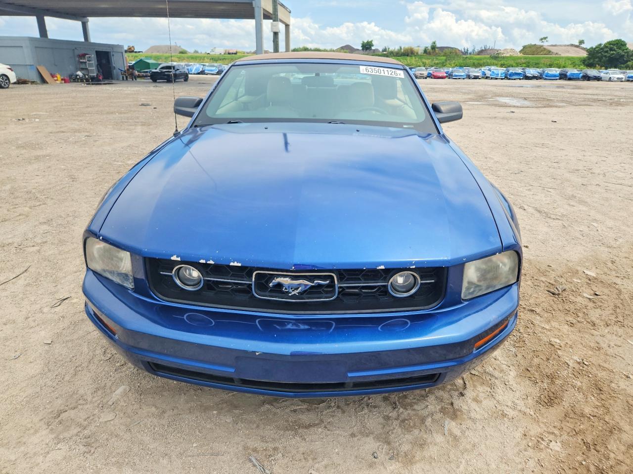 2006 Ford Mustang Blue vin: 1ZVFT84N265247759
