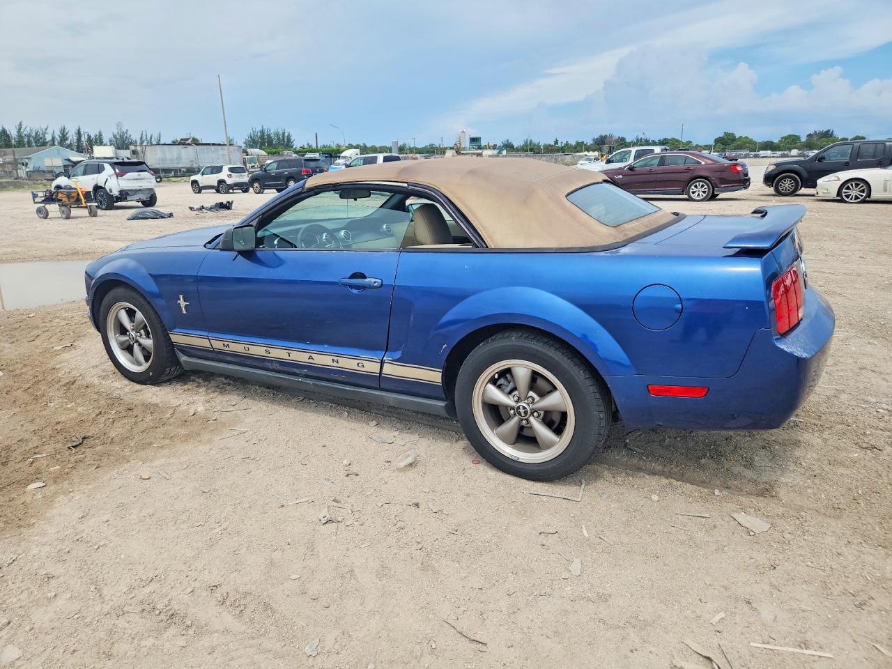 2006 Ford Mustang Blue vin: 1ZVFT84N265247759