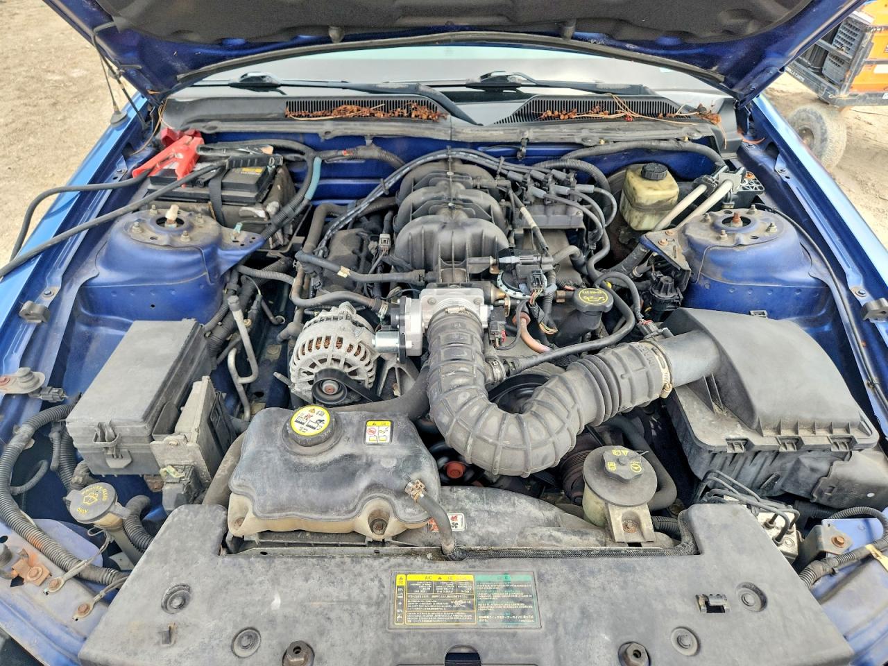 2006 Ford Mustang Blue vin: 1ZVFT84N265247759