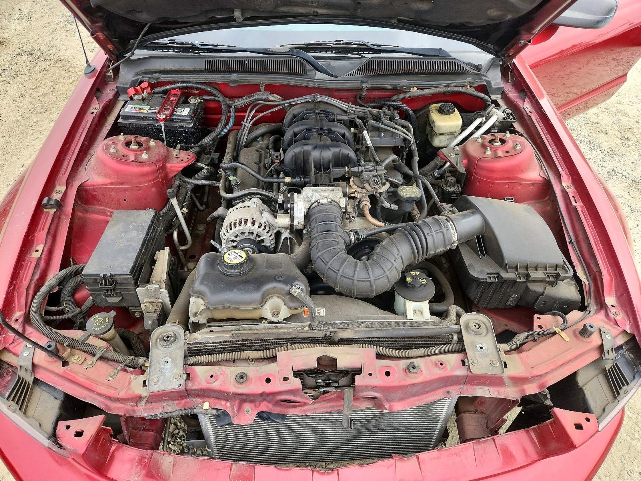 2006 Ford Mustang Red vin: 1ZVFT84N265261323
