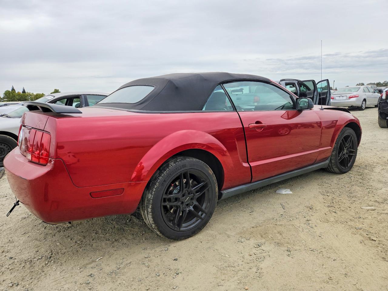 2006 Ford Mustang Red vin: 1ZVFT84N265261323