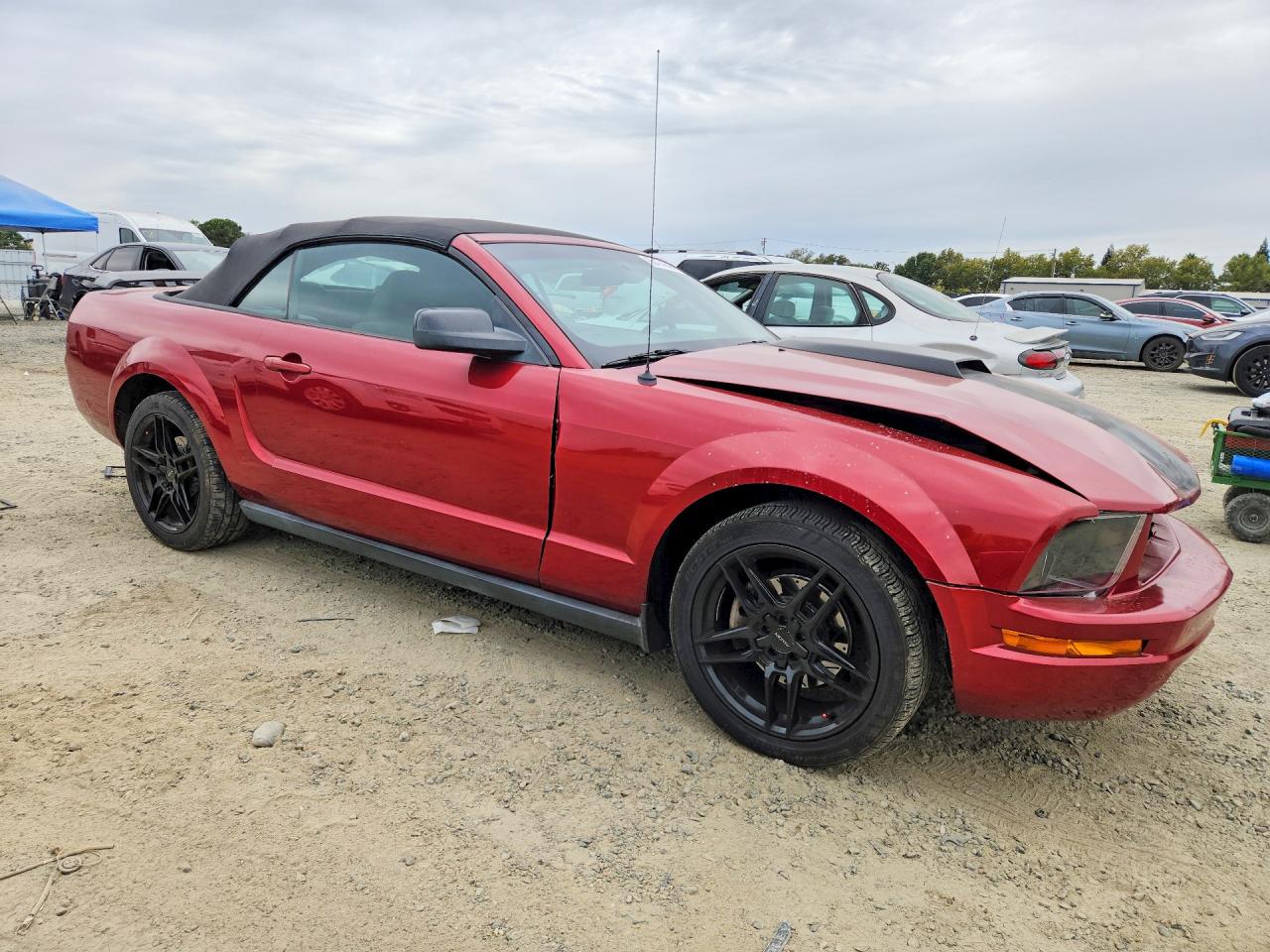 2006 Ford Mustang Red vin: 1ZVFT84N265261323