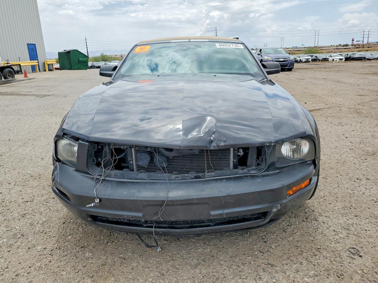 2007 Ford Mustang Gray vin: 1ZVFT84N275353744
