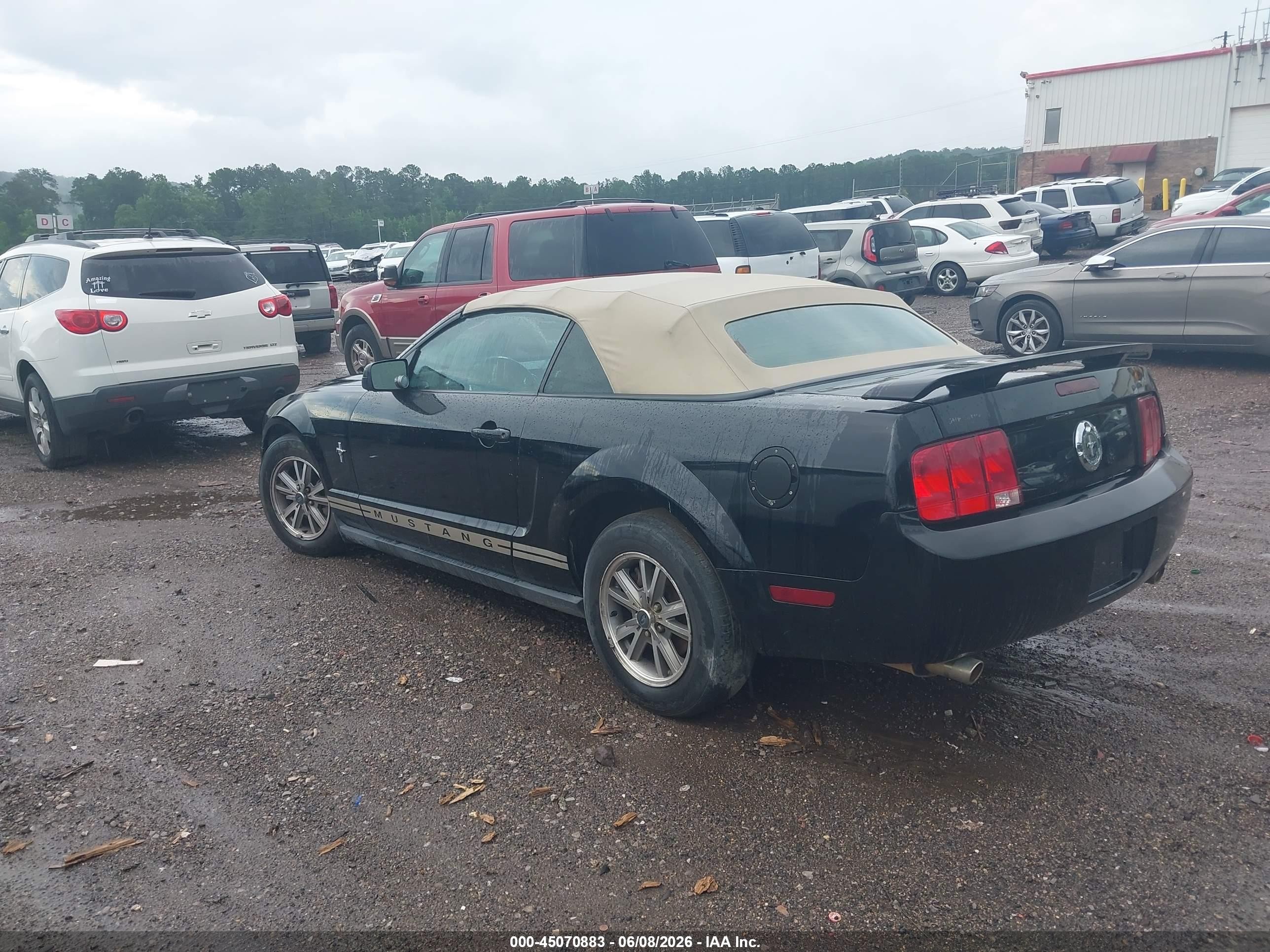 2005 Ford Mustang   Черный vin: 1ZVFT84N355195203