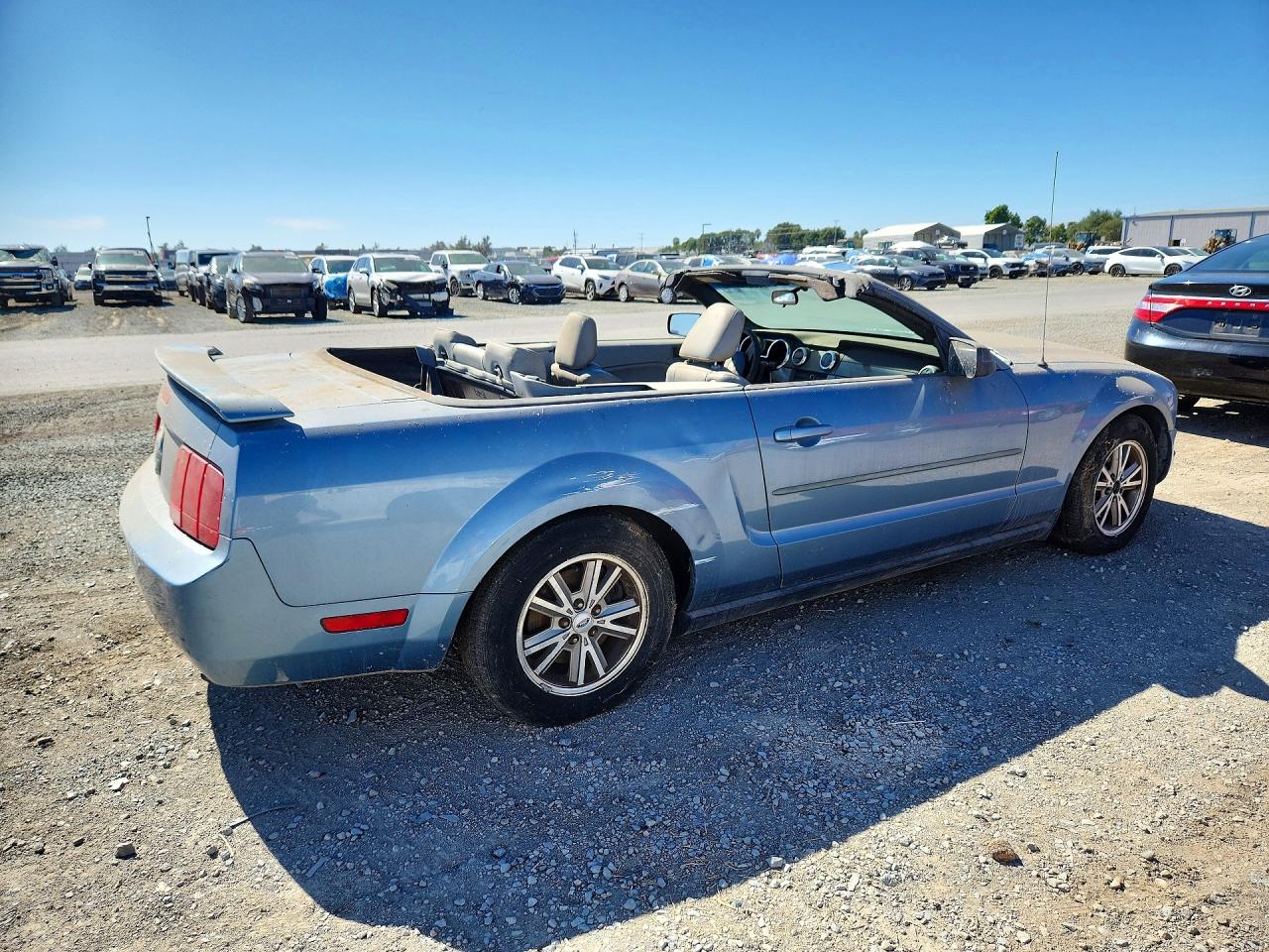 2005 Ford Mustang Blue vin: 1ZVFT84N355207382