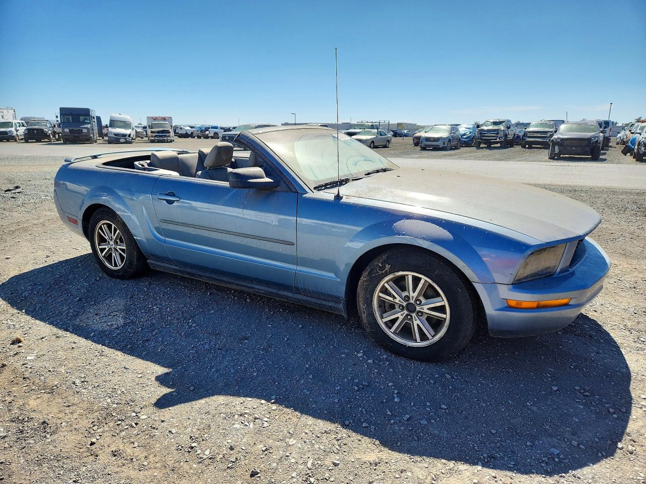 2005 Ford Mustang Blue vin: 1ZVFT84N355207382