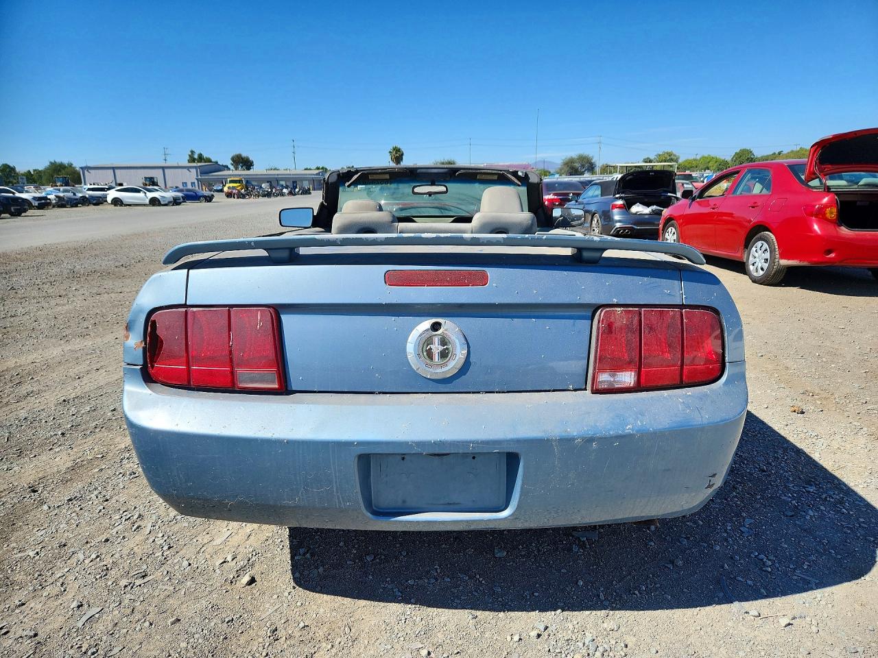 2005 Ford Mustang Blue vin: 1ZVFT84N355207382