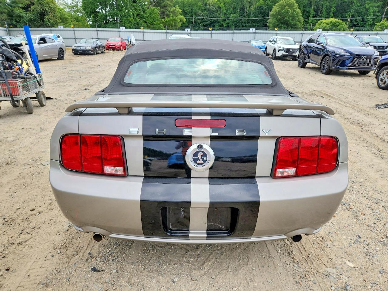 2005 Ford Mustang Silver vin: 1ZVFT84N355215840