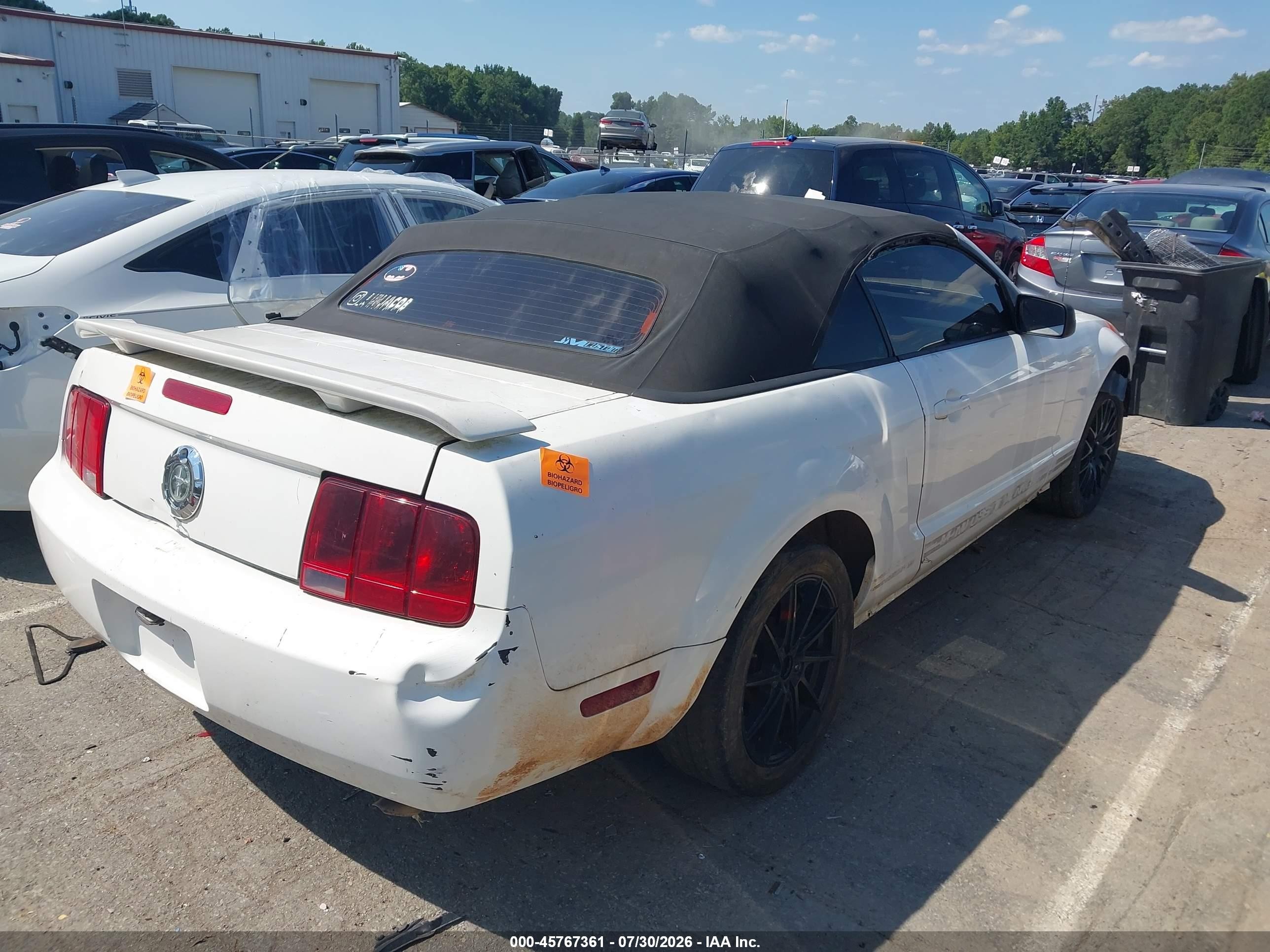 2005 Ford Mustang   White vin: 1ZVFT84N355258610