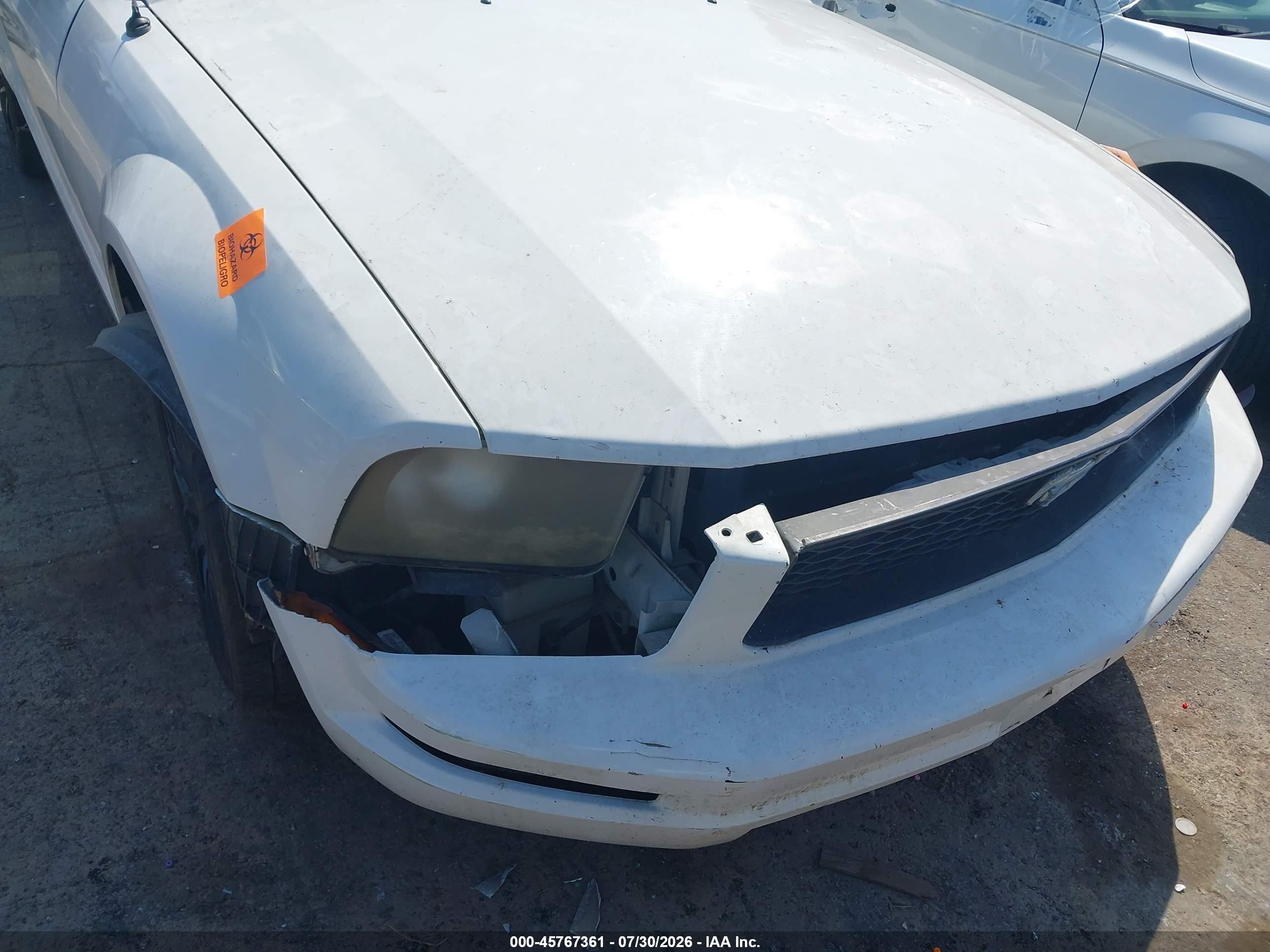 2005 Ford Mustang   White vin: 1ZVFT84N355258610