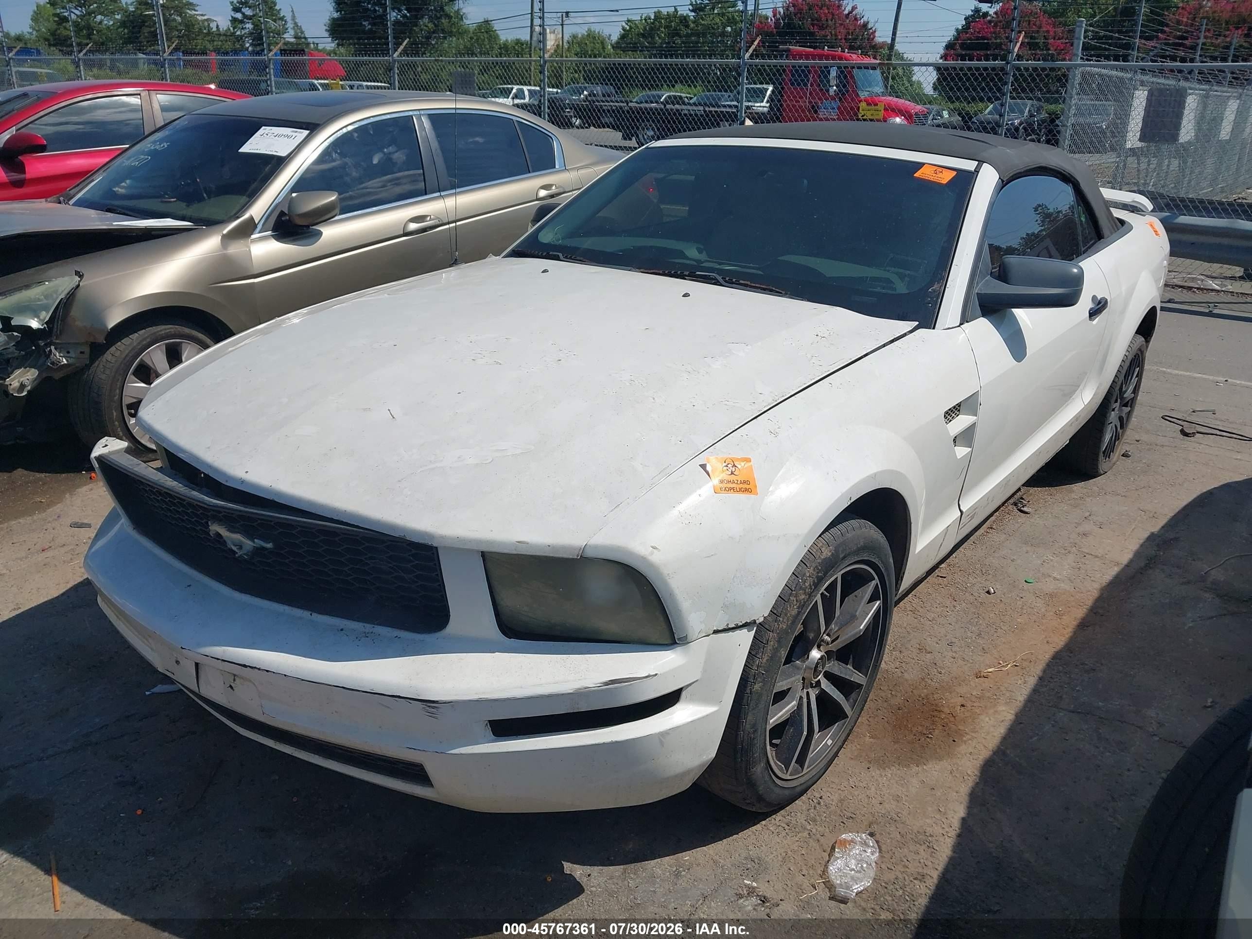 2005 Ford Mustang   White vin: 1ZVFT84N355258610