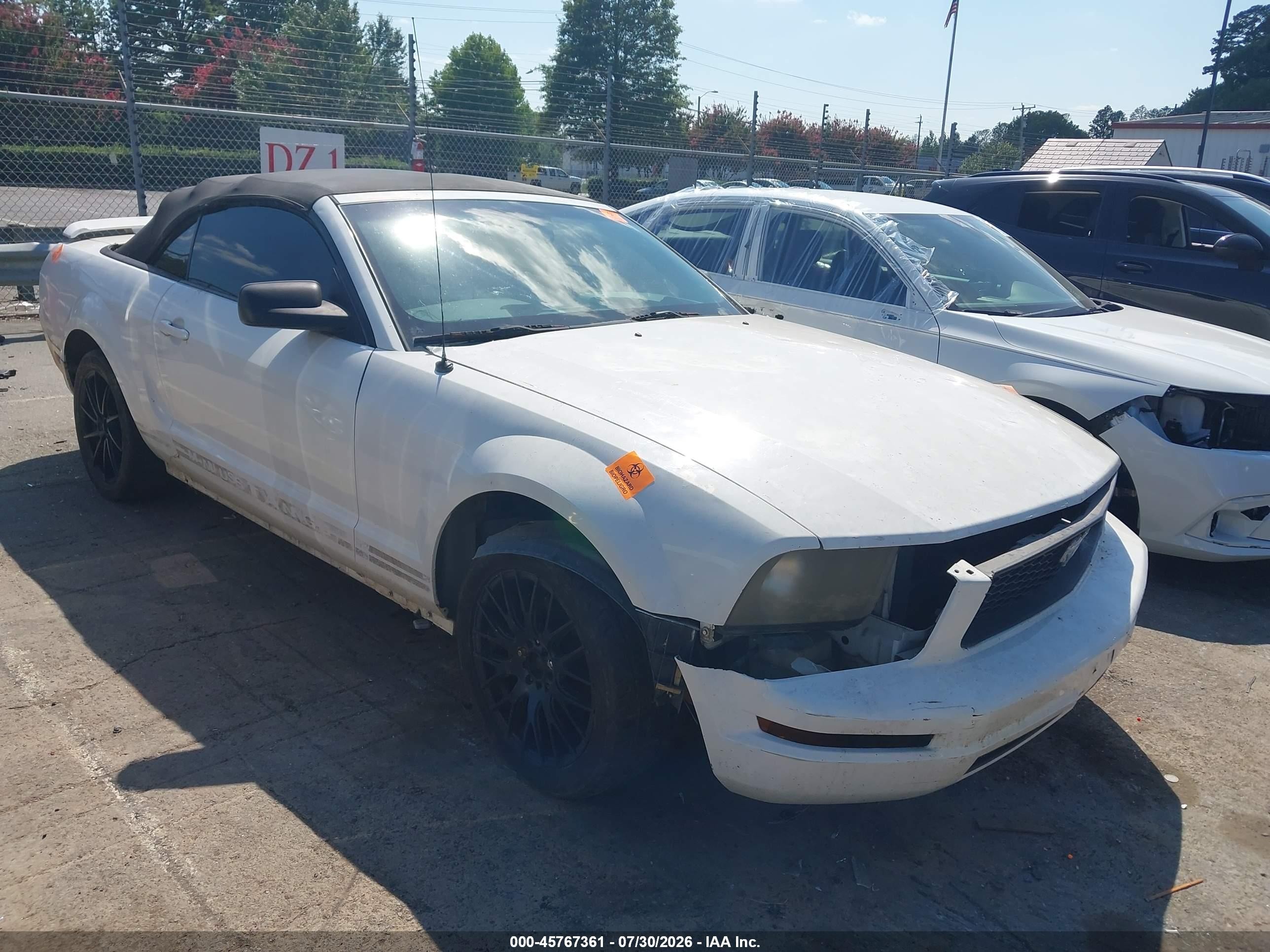 2005 Ford Mustang   White vin: 1ZVFT84N355258610