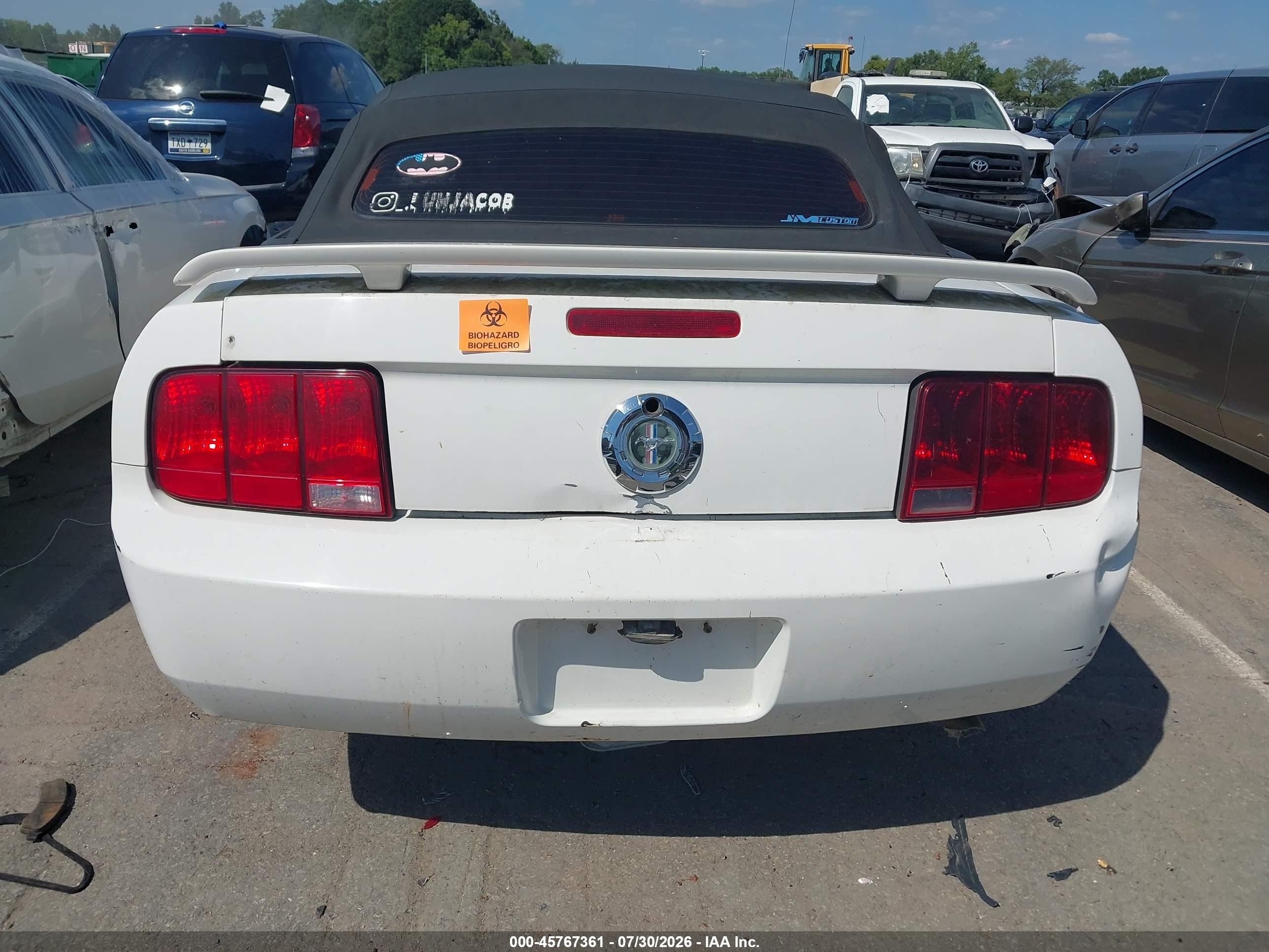 2005 Ford Mustang   White vin: 1ZVFT84N355258610