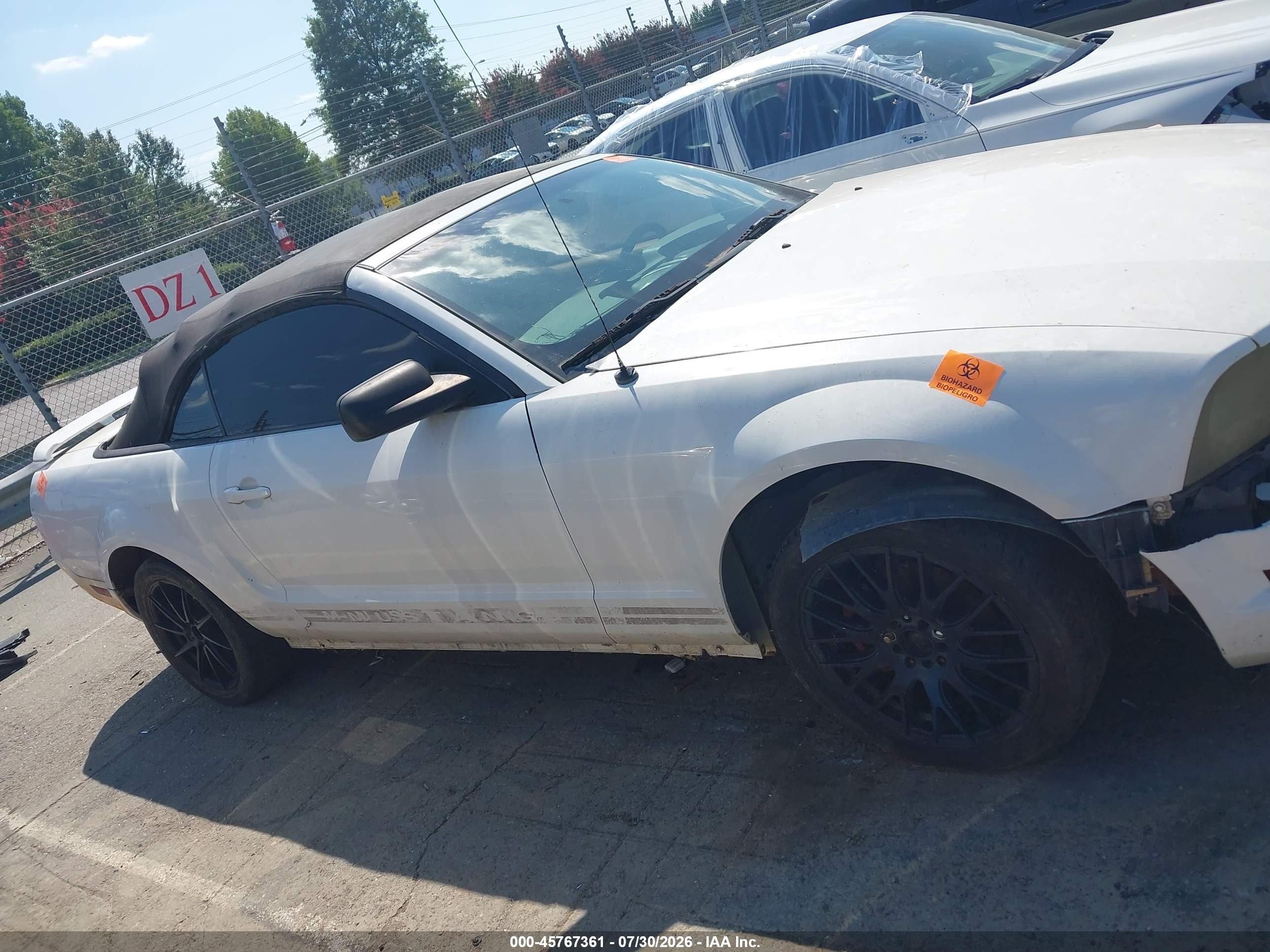 2005 Ford Mustang   White vin: 1ZVFT84N355258610