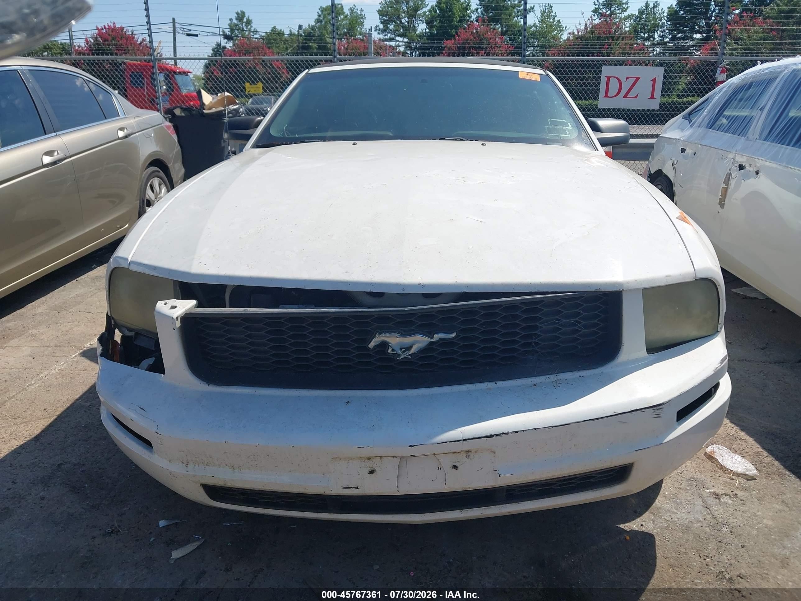 2005 Ford Mustang   White vin: 1ZVFT84N355258610