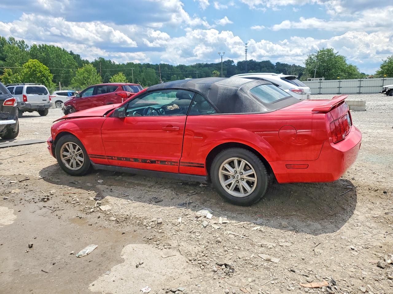 2006 Ford Mustang Red vin: 1ZVFT84N365224846