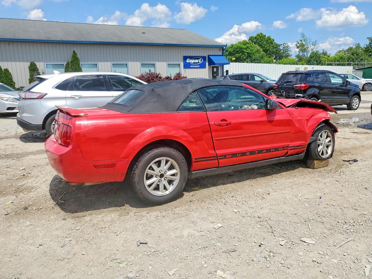 2006 Ford Mustang Red vin: 1ZVFT84N365224846