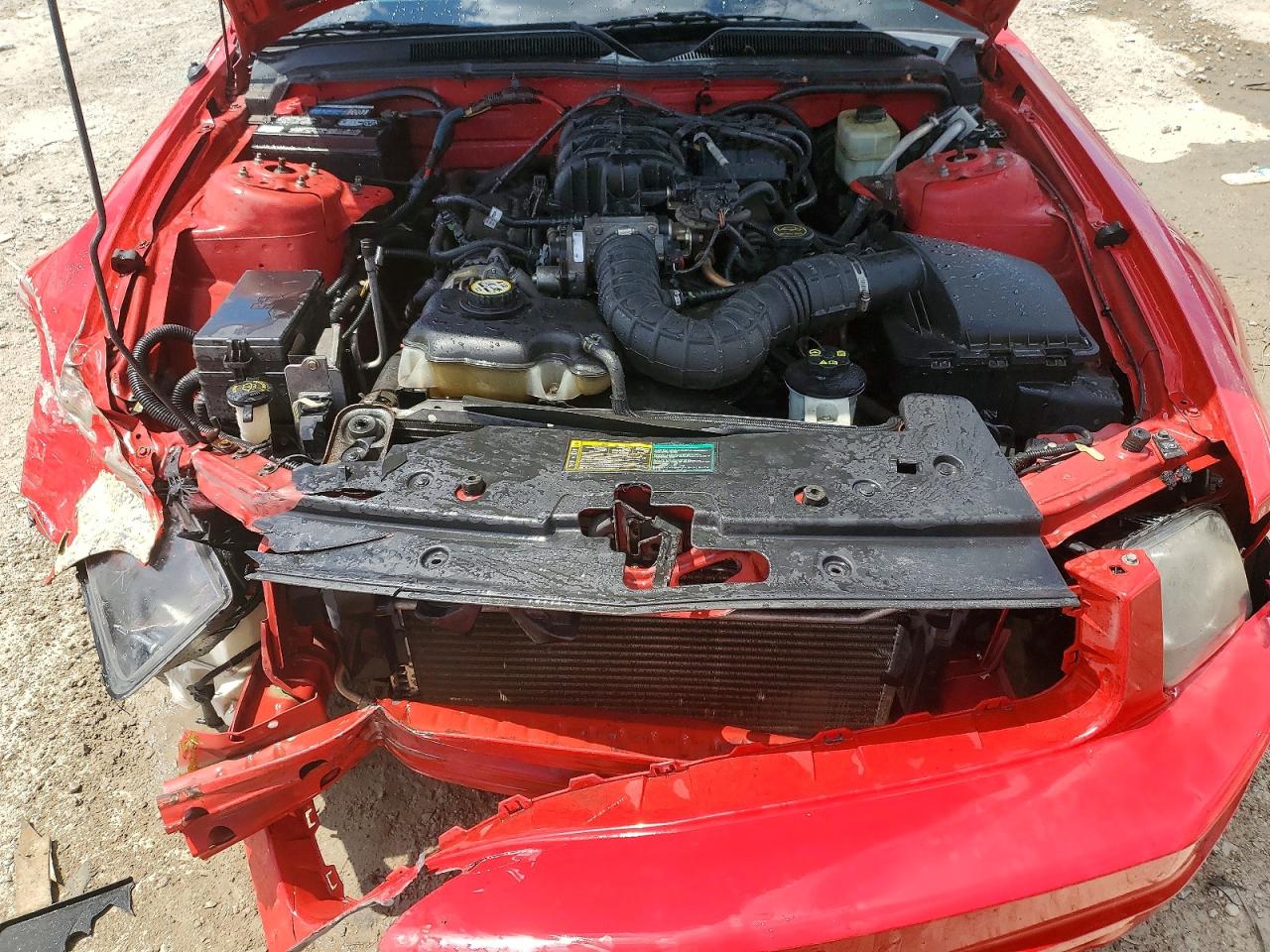 2006 Ford Mustang Red vin: 1ZVFT84N365224846