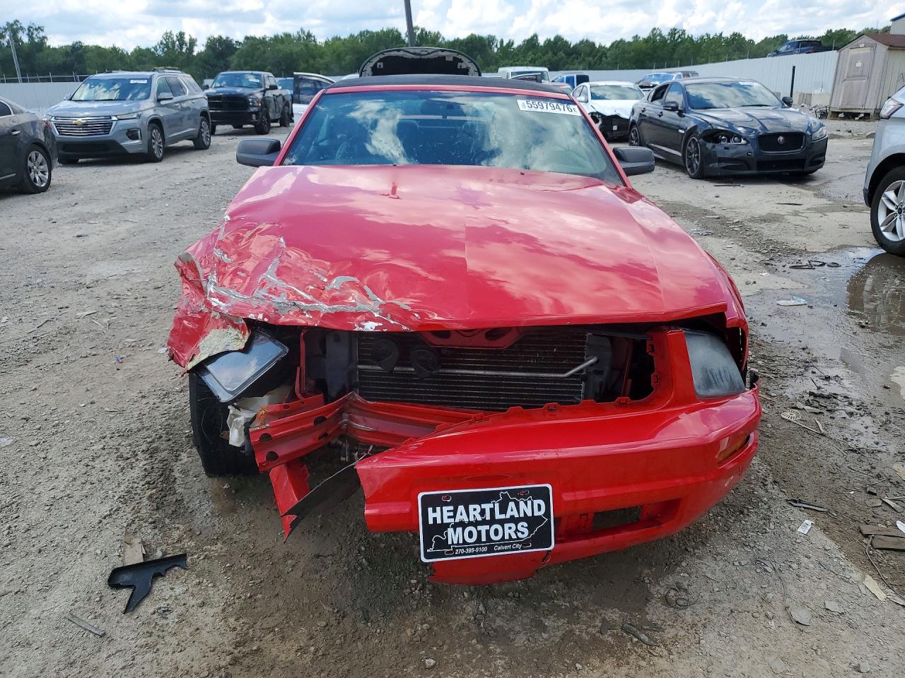 2006 Ford Mustang Red vin: 1ZVFT84N365224846