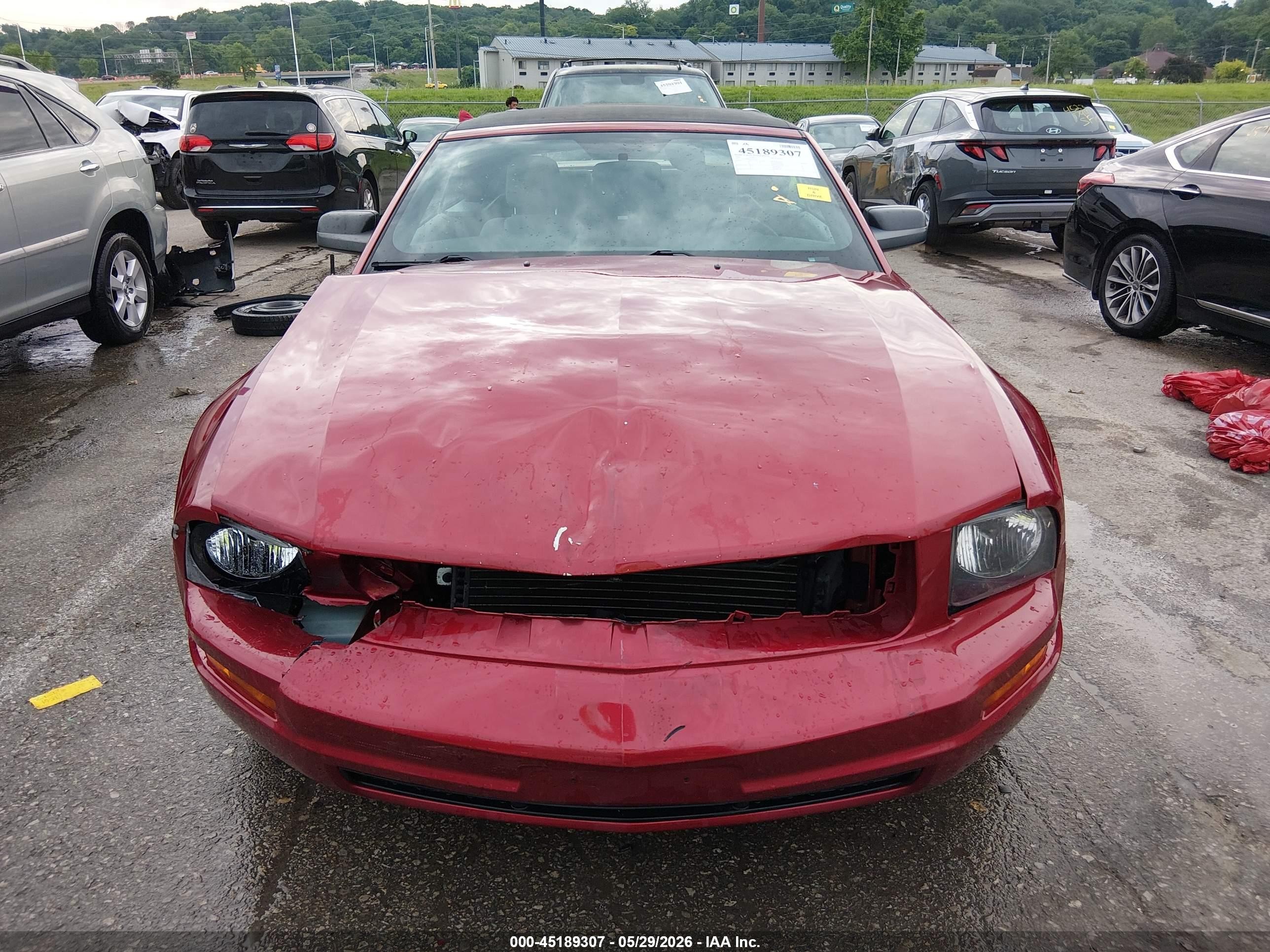 2005 Ford Mustang   Red vin: 1ZVFT84N455216415