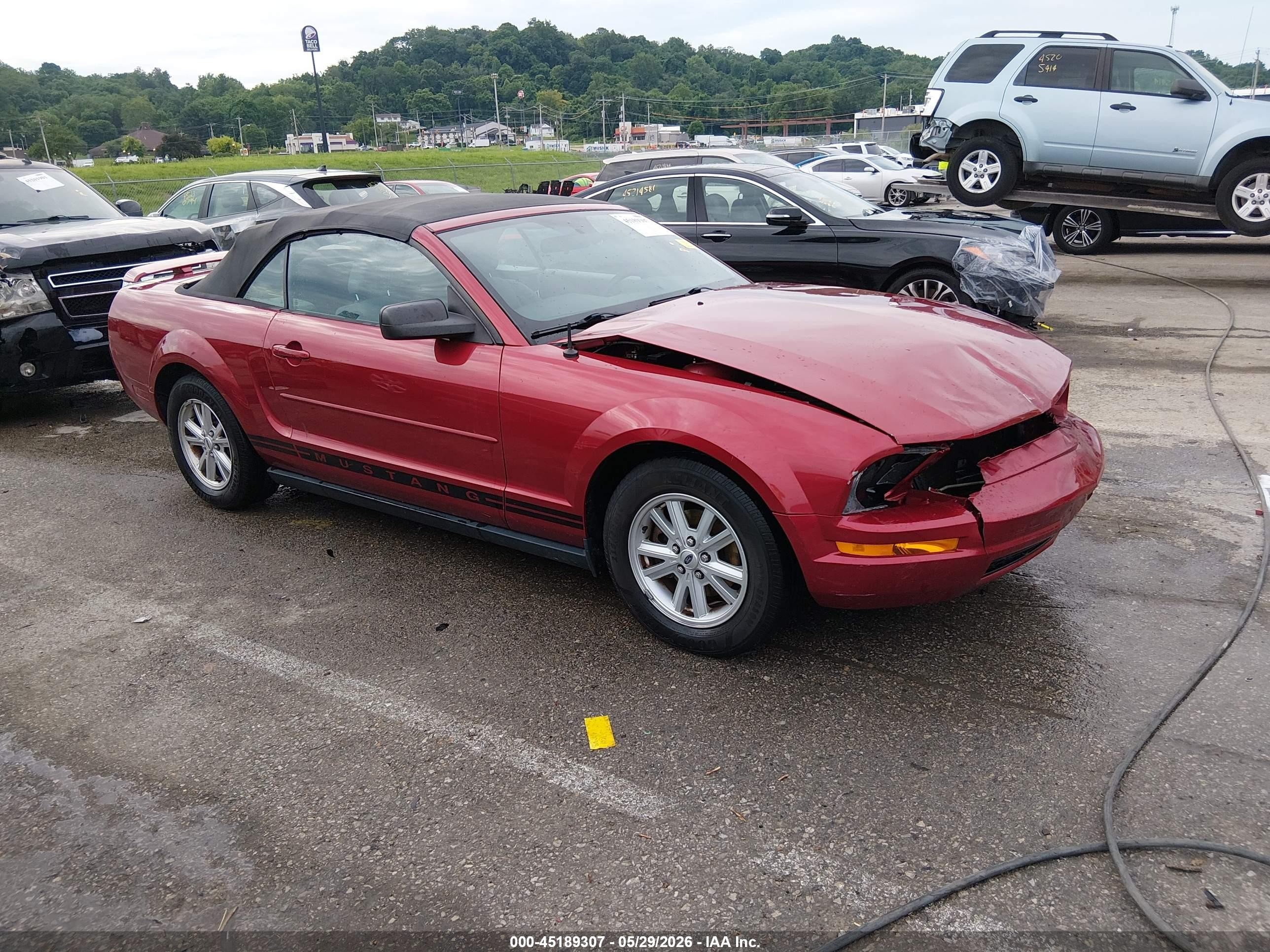 2005 Ford Mustang   Red vin: 1ZVFT84N455216415