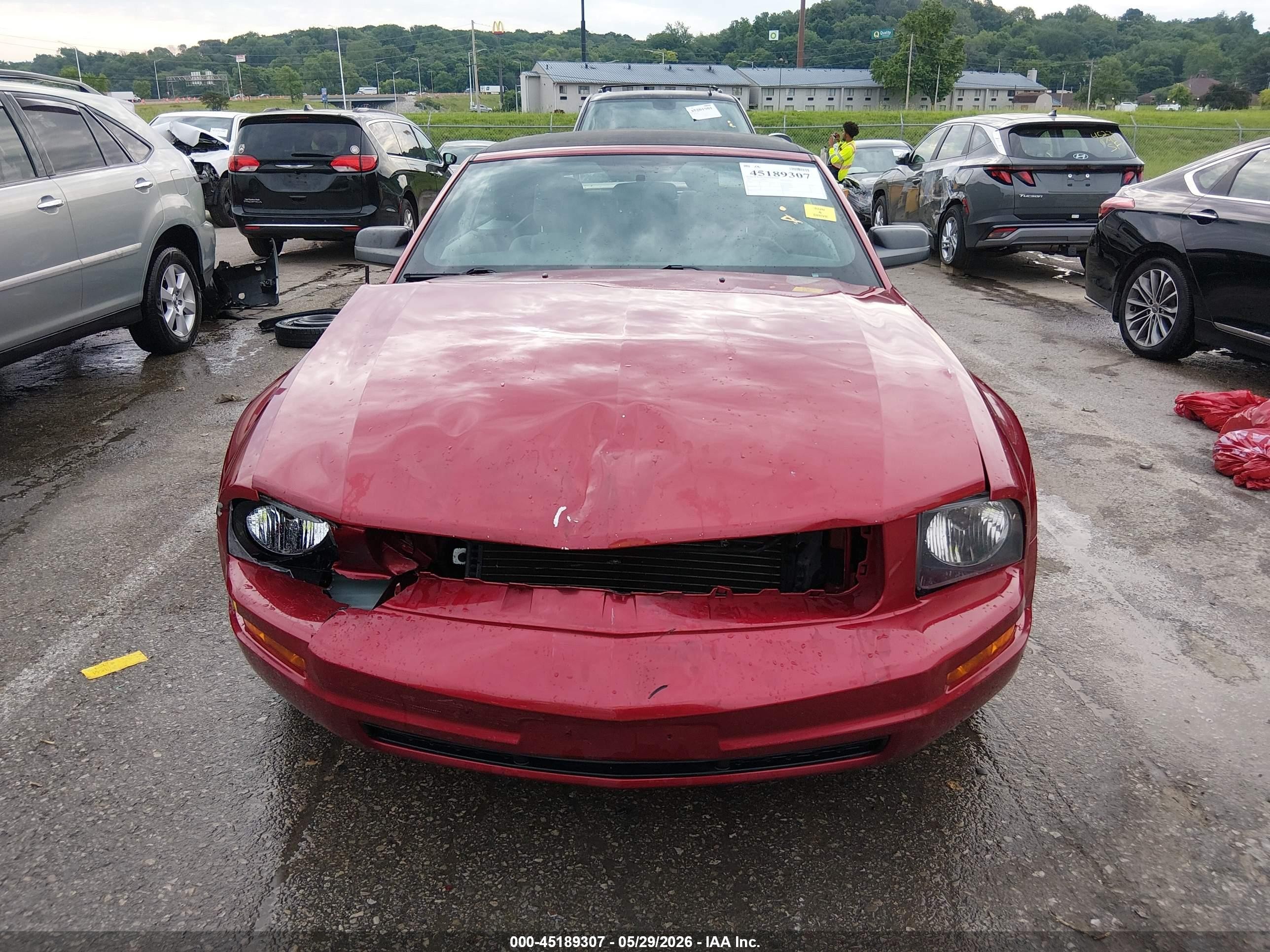 2005 Ford Mustang   Red vin: 1ZVFT84N455216415