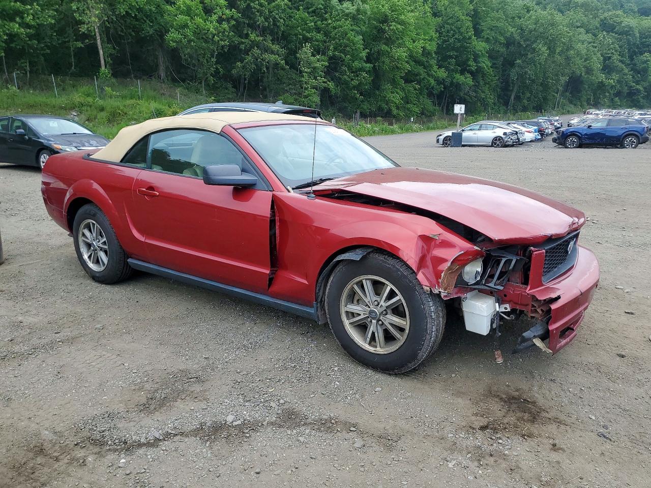 2005 Ford Mustang Красный vin: 1ZVFT84N455227592