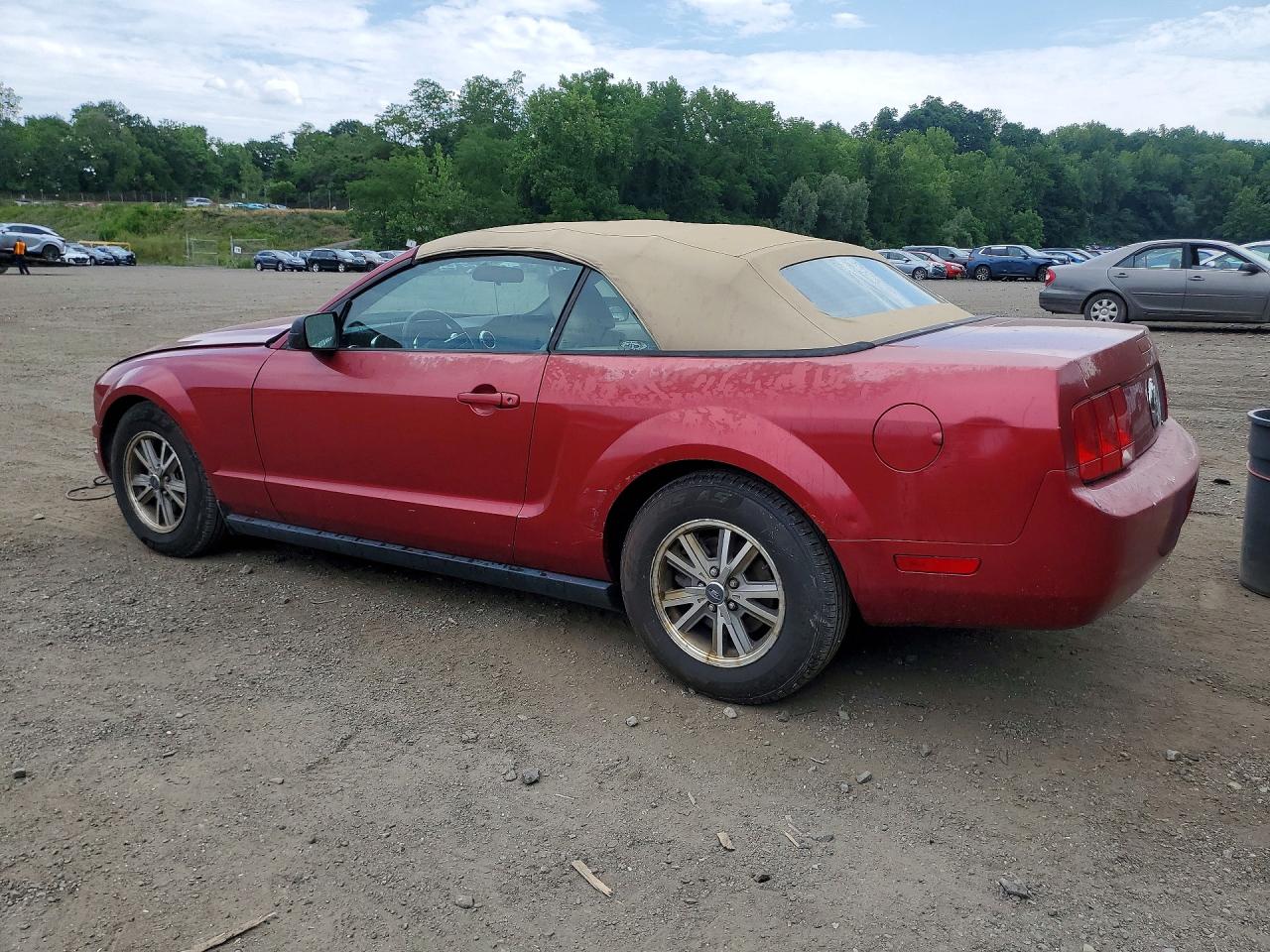 2005 Ford Mustang Красный vin: 1ZVFT84N455227592