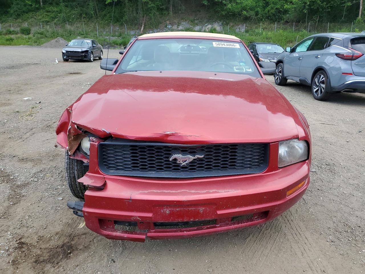2005 Ford Mustang Красный vin: 1ZVFT84N455227592