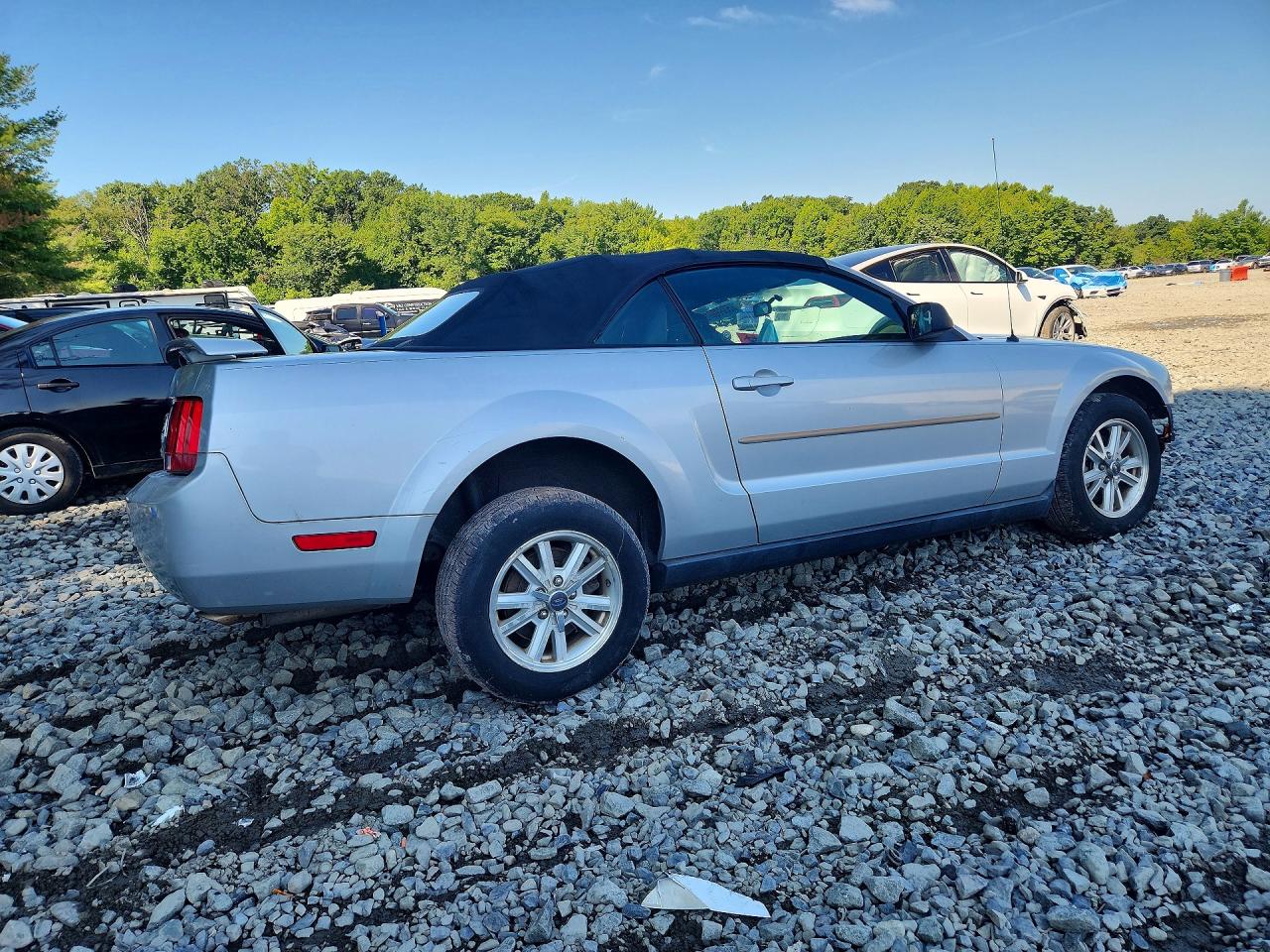 2006 Ford Mustang Серый vin: 1ZVFT84N465126070