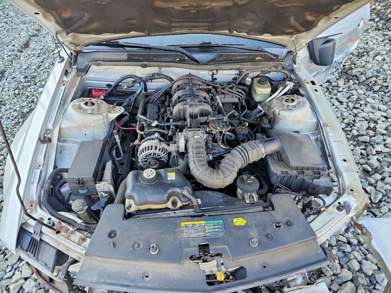 2006 Ford Mustang Серый vin: 1ZVFT84N465126070