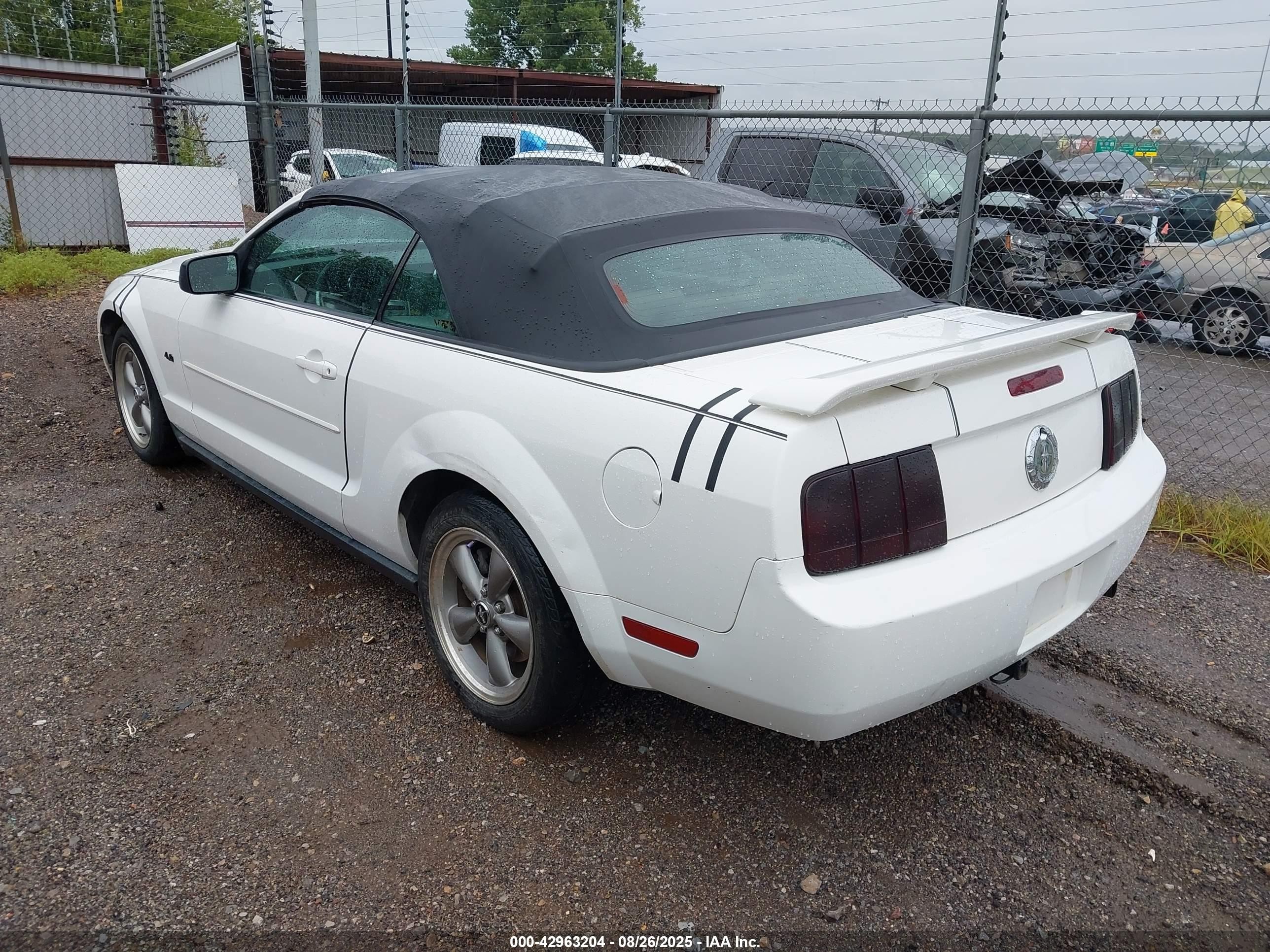 2006 Ford Mustang V6 White vin: 1ZVFT84N465184809