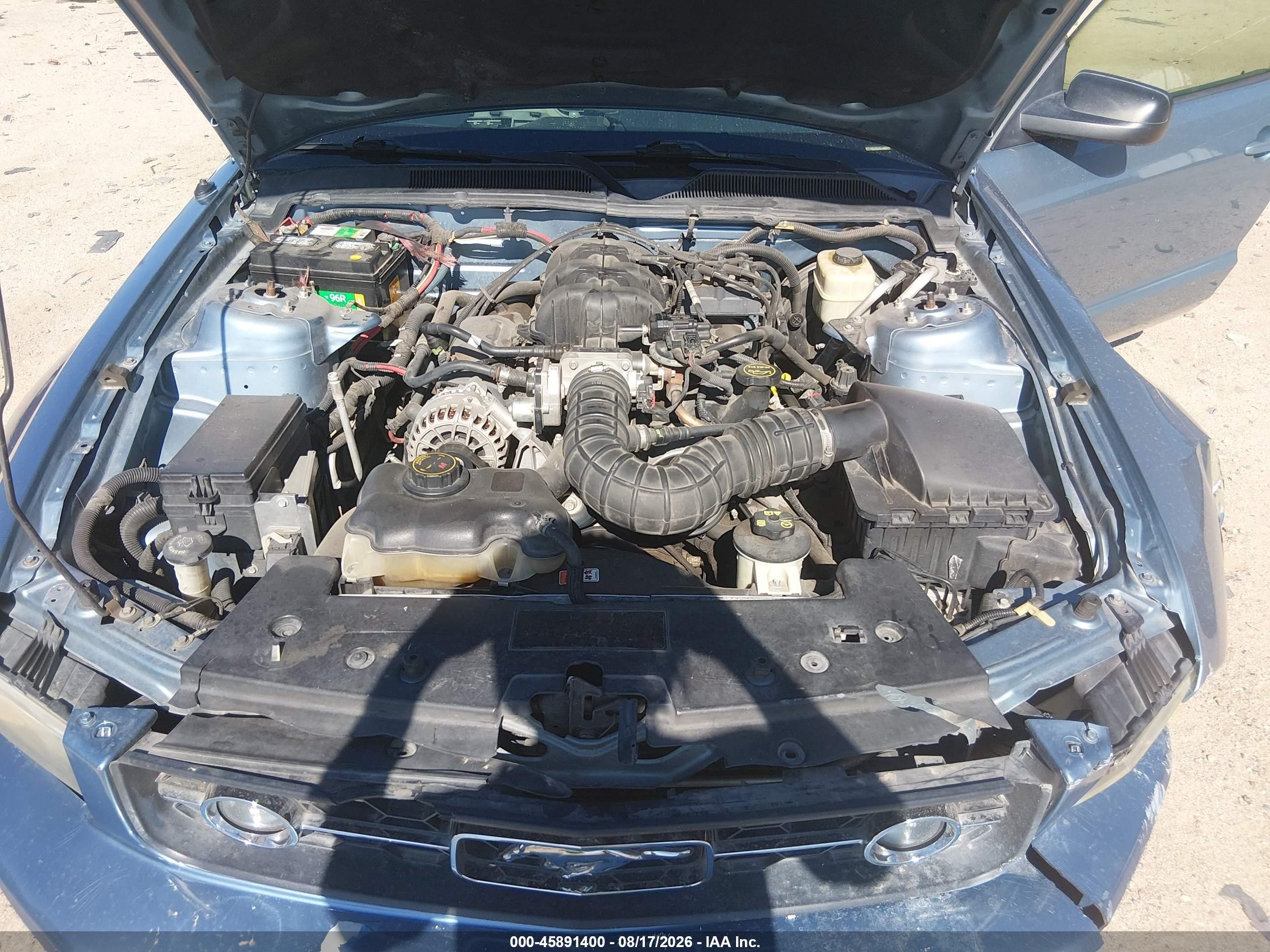 2006 Ford Mustang V6 Синий vin: 1ZVFT84N465228470