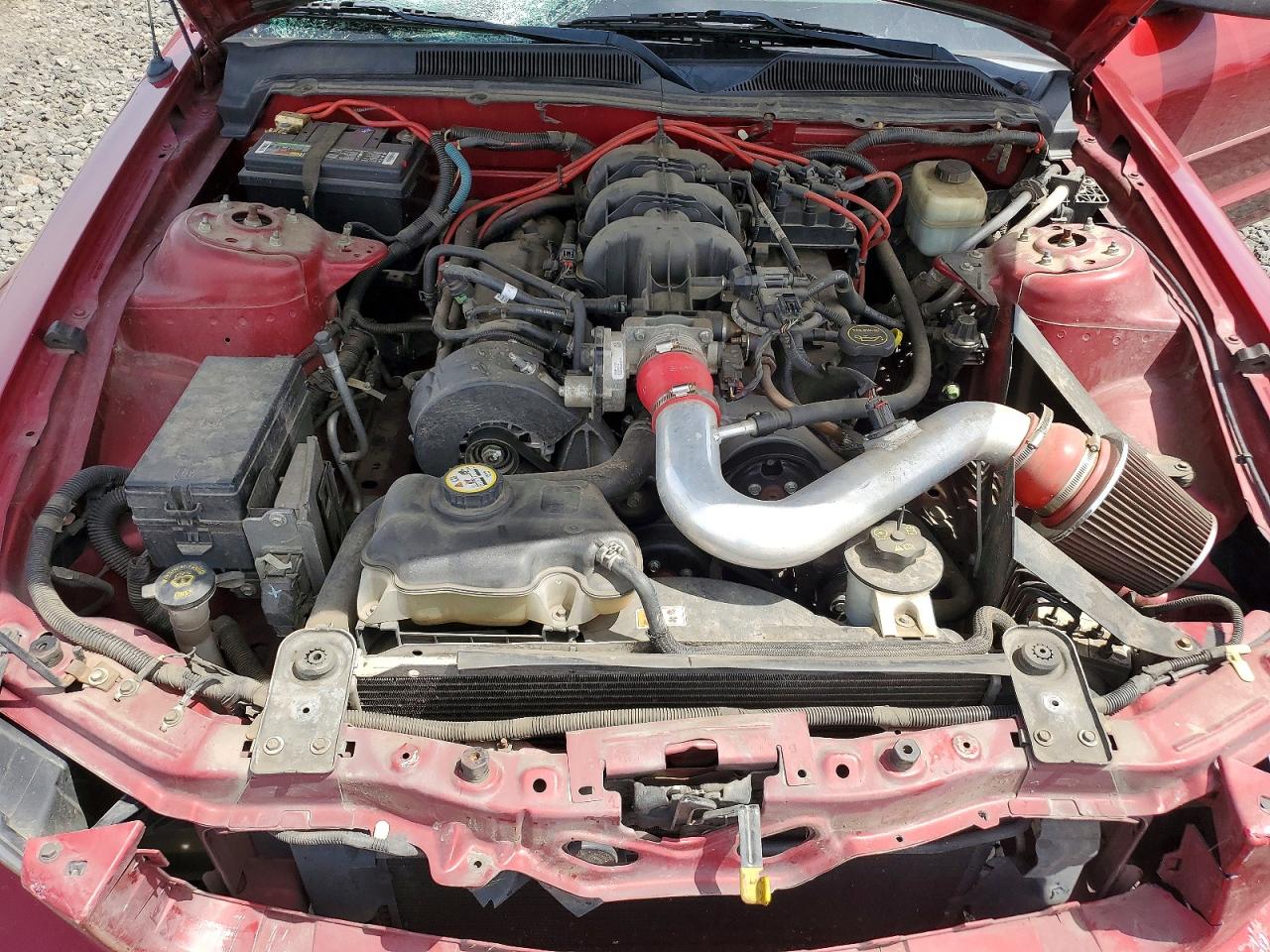 2005 Ford Mustang Red vin: 1ZVFT84N555197616
