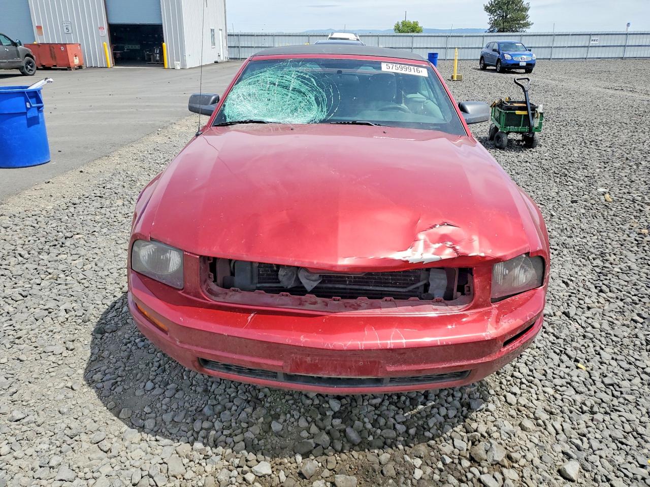 2005 Ford Mustang Red vin: 1ZVFT84N555197616