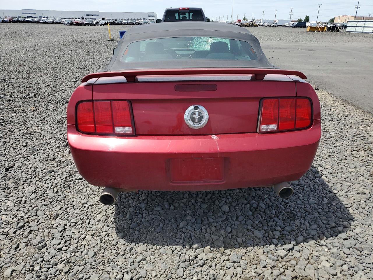 2005 Ford Mustang Red vin: 1ZVFT84N555197616