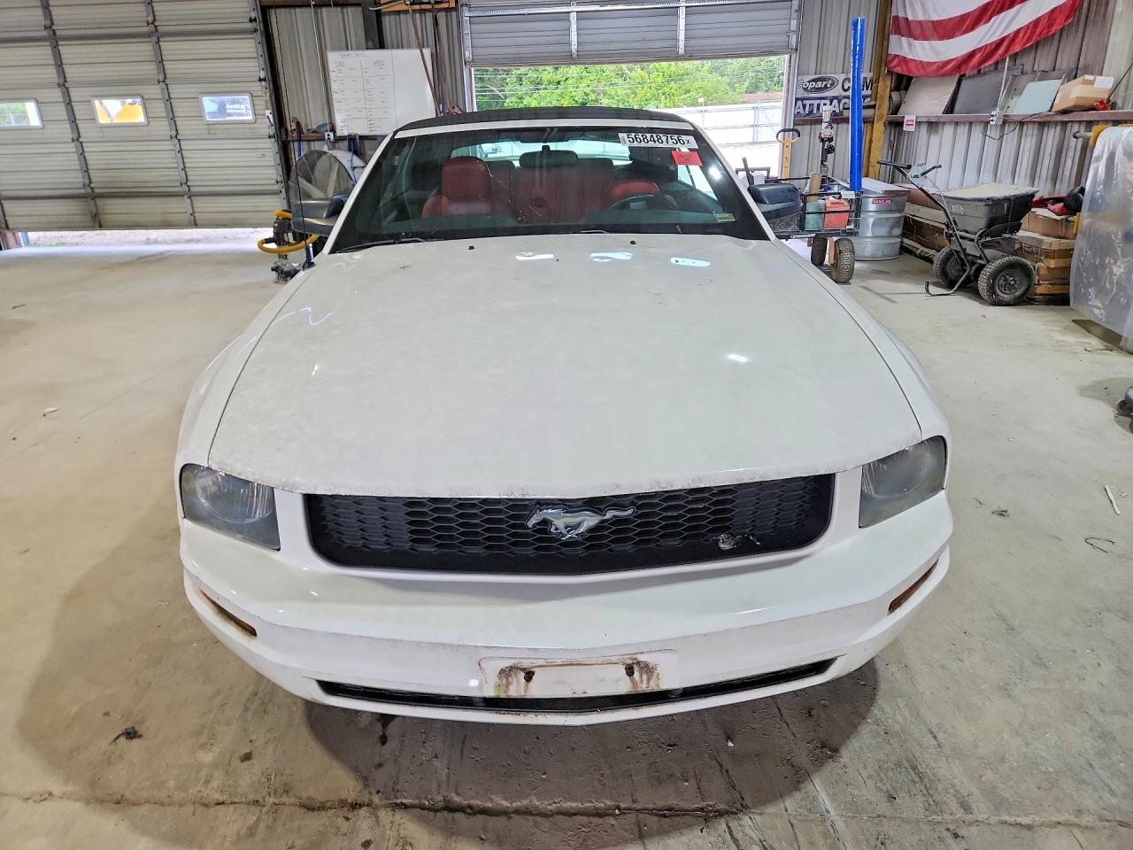 2005 Ford Mustang White vin: 1ZVFT84N555199494
